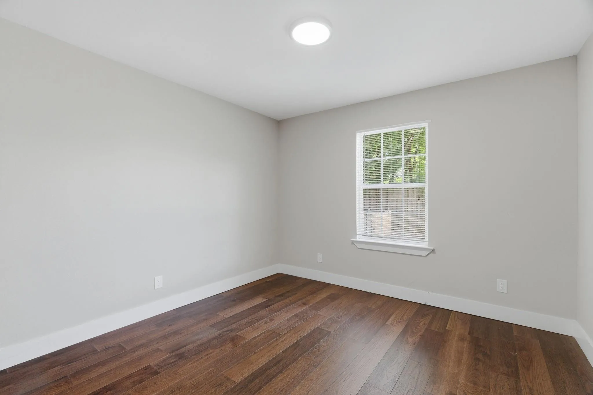 Neutral gray walls with white trim, wood-finish flooring, a single window, and a flush-mount ceiling light fixture