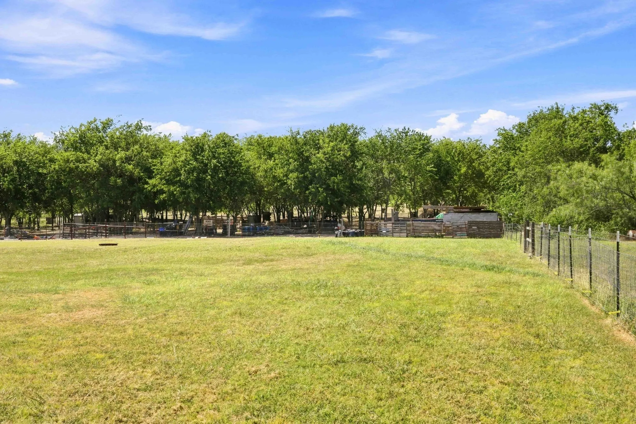 Expansive open field with a wire fence, mature trees, and a distant wooden outbuilding