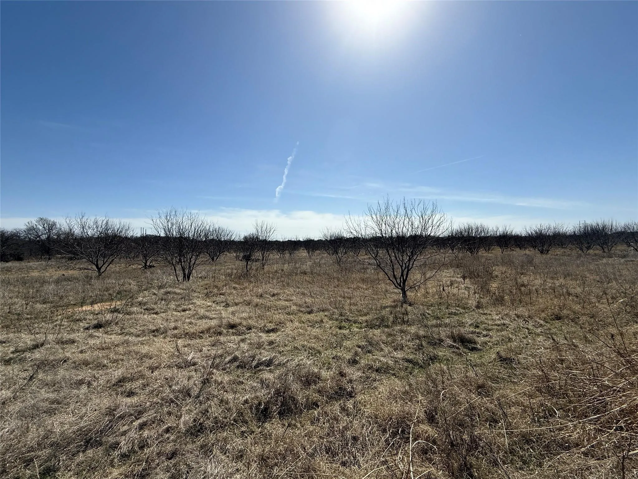 Unimproved Land For Sale in Brown County , 1701 Stewart Street, Brownwood, Texas 76801, 0, 0, Garage spaces, 0 Sqft, built in 0, Price $175,000, mls#21350941, Real Estate Agent in Brownwood, Homes For Sale in Brown county, Homes For Sale in Brownwood, Realtor in Brownwood Texas, Real Estate Brokerage Independent Realty Texas, Luminita Cordes Realtor