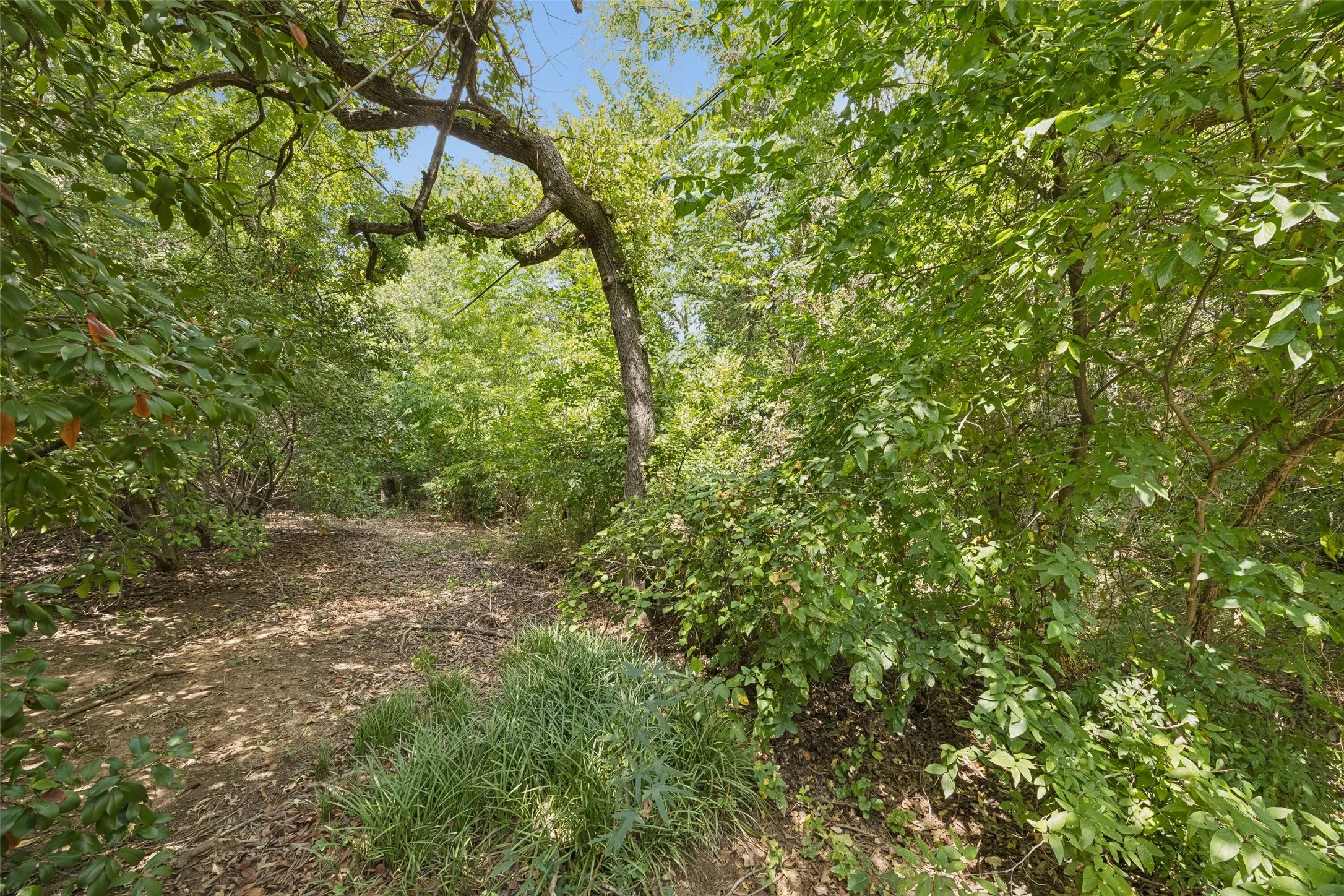 Unimproved Land For Sale in Tarrant County , 3900 Jackson Road, Colleyville, Texas 76034, 0, 0, Garage spaces, 0 Sqft, built in 0, Price $550,000, mls#21348703, Real Estate Agent in Colleyville, Homes For Sale in Tarrant county, Homes For Sale in Colleyville, Realtor in Colleyville Texas, Real Estate Brokerage Independent Realty Texas, Luminita Cordes Realtor