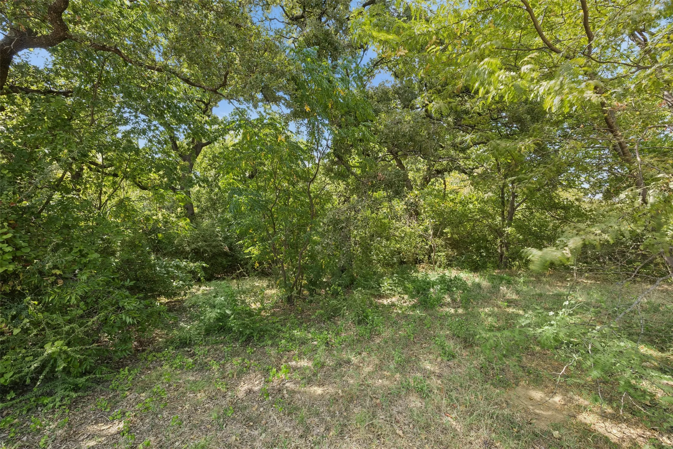 Unimproved Land For Sale in Tarrant County , 3900 Jackson Road, Colleyville, Texas 76034, 0, 0, Garage spaces, 0 Sqft, built in 0, Price $550,000, mls#21348703, Real Estate Agent in Colleyville, Homes For Sale in Tarrant county, Homes For Sale in Colleyville, Realtor in Colleyville Texas, Real Estate Brokerage Independent Realty Texas, Luminita Cordes Realtor