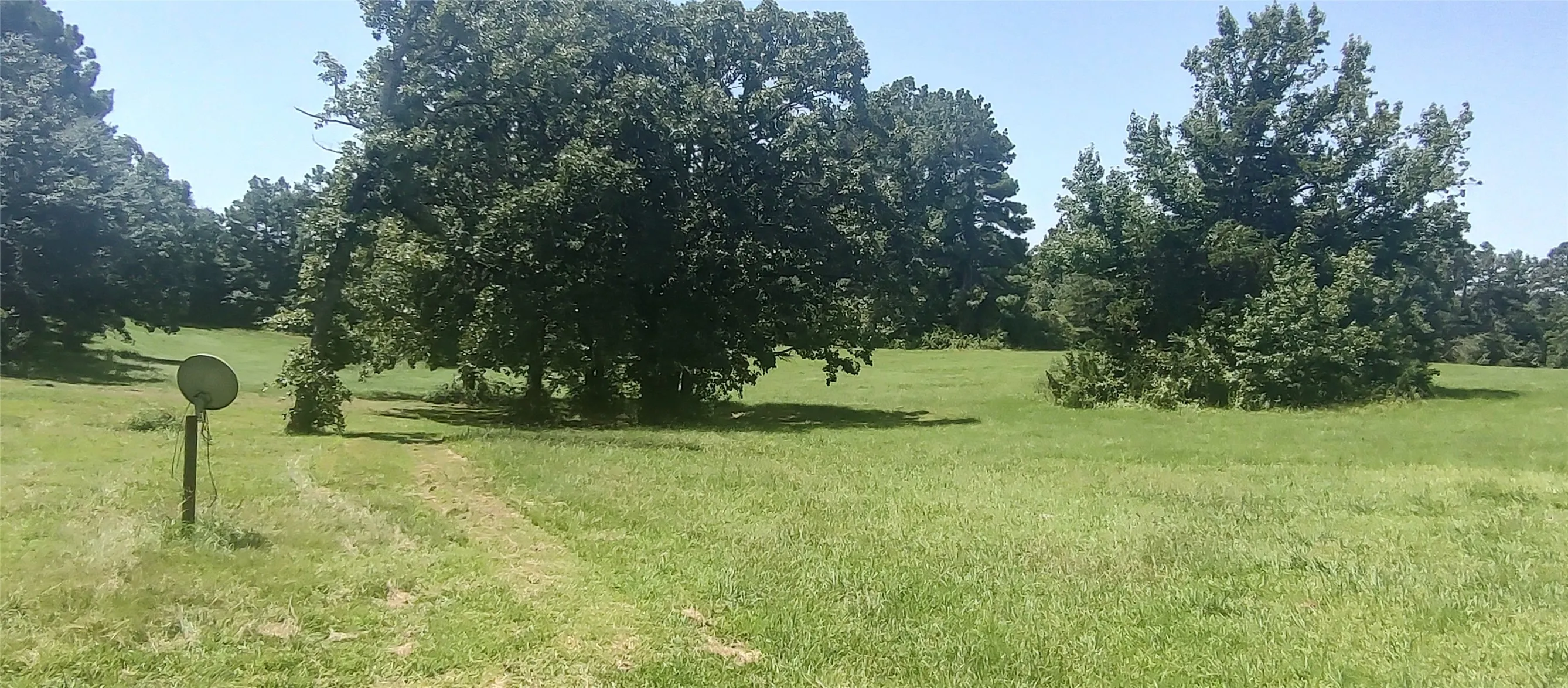 Improved Land For Sale in Shelby County , 381 County Road 4688, Tenaha, Texas 75974, 0, 0, Garage spaces, 0 Sqft, built in 0, Price $299,528, mls#21350971, Real Estate Agent in Tenaha, Homes For Sale in Shelby county, Homes For Sale in Tenaha, Realtor in Tenaha Texas, Real Estate Brokerage Independent Realty Texas, Luminita Cordes Realtor