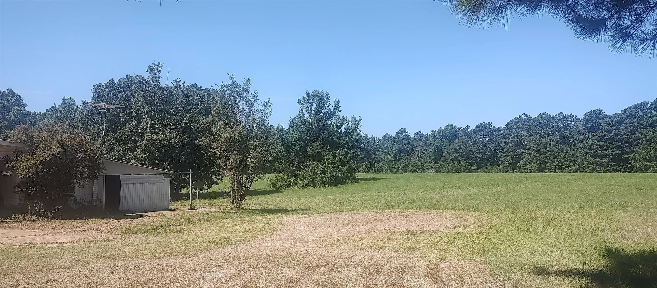 Improved Land For Sale in Shelby County , 381 County Road 4688, Tenaha, Texas 75974, 0, 0, Garage spaces, 0 Sqft, built in 0, Price $299,528, mls#21350971, Real Estate Agent in Tenaha, Homes For Sale in Shelby county, Homes For Sale in Tenaha, Realtor in Tenaha Texas, Real Estate Brokerage Independent Realty Texas, Luminita Cordes Realtor