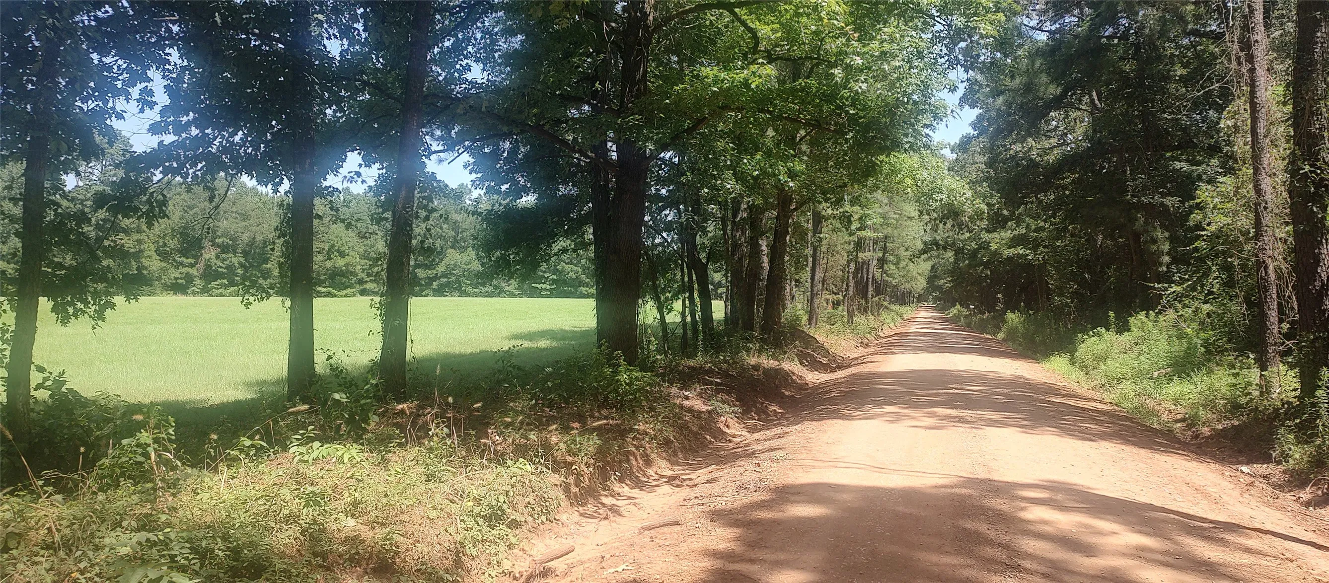 Improved Land For Sale in Shelby County , 381 County Road 4688, Tenaha, Texas 75974, 0, 0, Garage spaces, 0 Sqft, built in 0, Price $299,528, mls#21350971, Real Estate Agent in Tenaha, Homes For Sale in Shelby county, Homes For Sale in Tenaha, Realtor in Tenaha Texas, Real Estate Brokerage Independent Realty Texas, Luminita Cordes Realtor