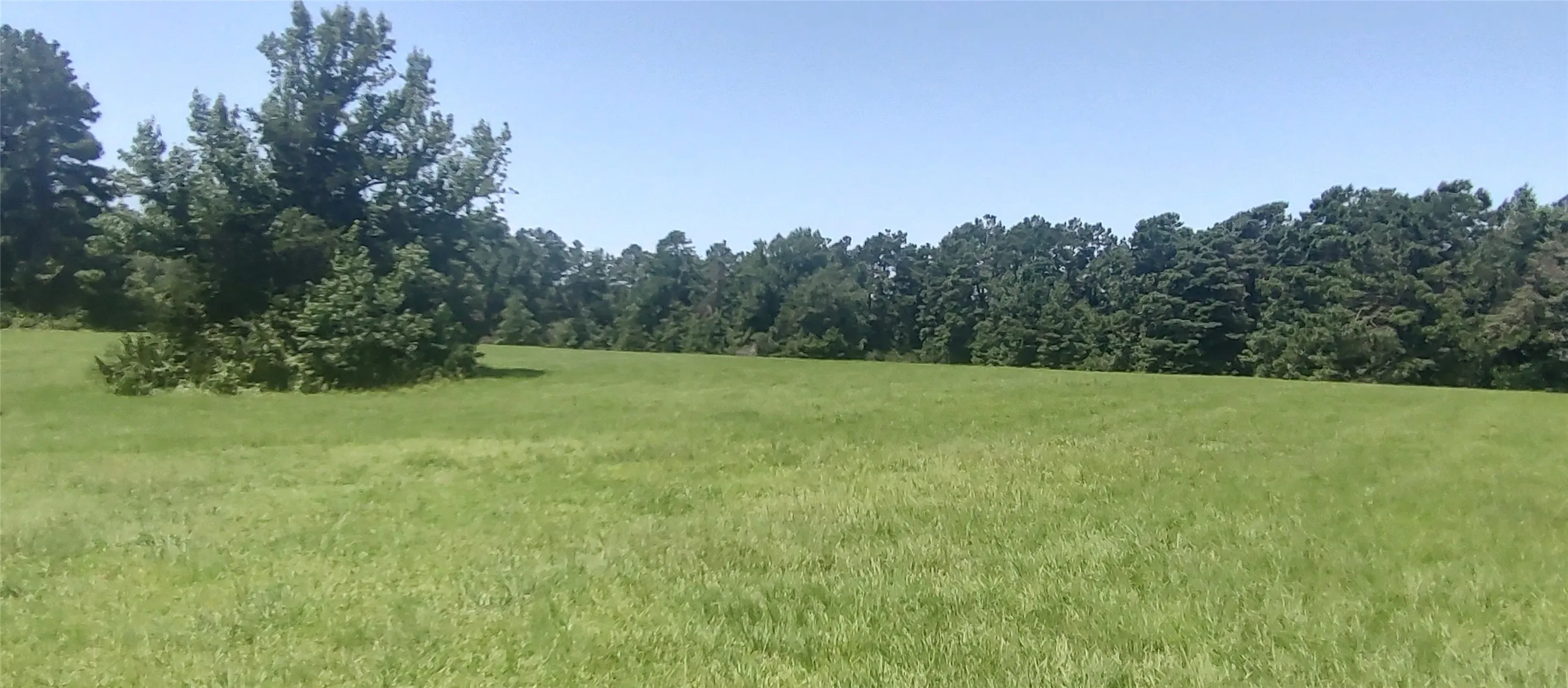 Improved Land For Sale in Shelby County , 381 County Road 4688, Tenaha, Texas 75974, 0, 0, Garage spaces, 0 Sqft, built in 0, Price $299,528, mls#21350971, Real Estate Agent in Tenaha, Homes For Sale in Shelby county, Homes For Sale in Tenaha, Realtor in Tenaha Texas, Real Estate Brokerage Independent Realty Texas, Luminita Cordes Realtor