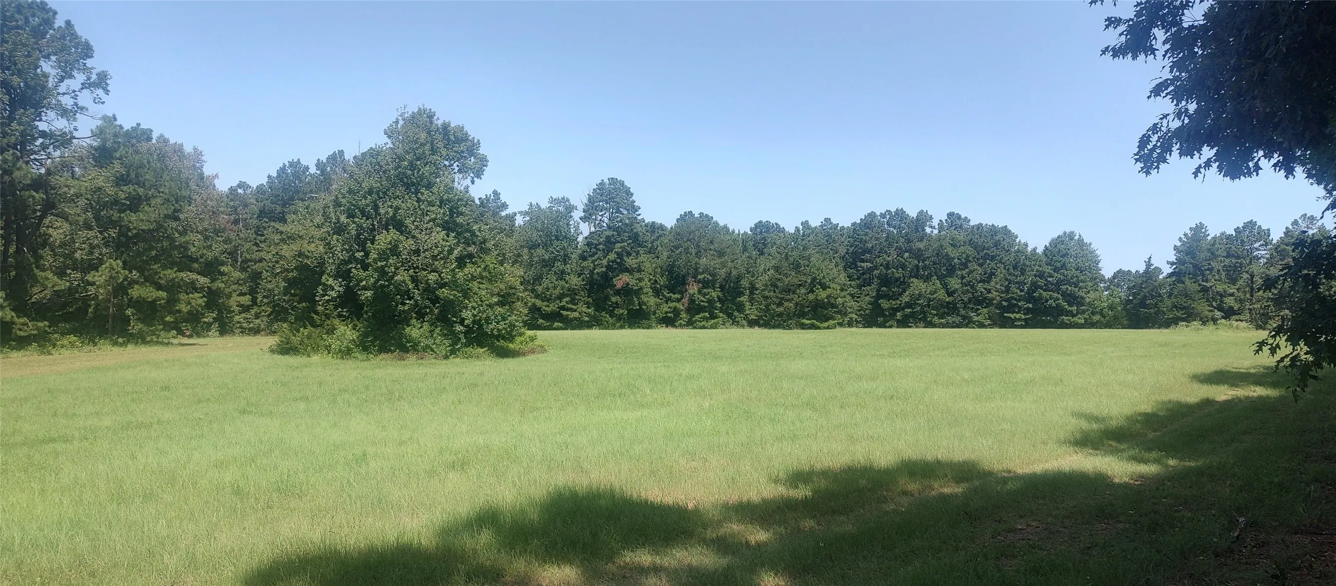 Improved Land For Sale in Shelby County , 381 County Road 4688, Tenaha, Texas 75974, 0, 0, Garage spaces, 0 Sqft, built in 0, Price $299,528, mls#21350971, Real Estate Agent in Tenaha, Homes For Sale in Shelby county, Homes For Sale in Tenaha, Realtor in Tenaha Texas, Real Estate Brokerage Independent Realty Texas, Luminita Cordes Realtor