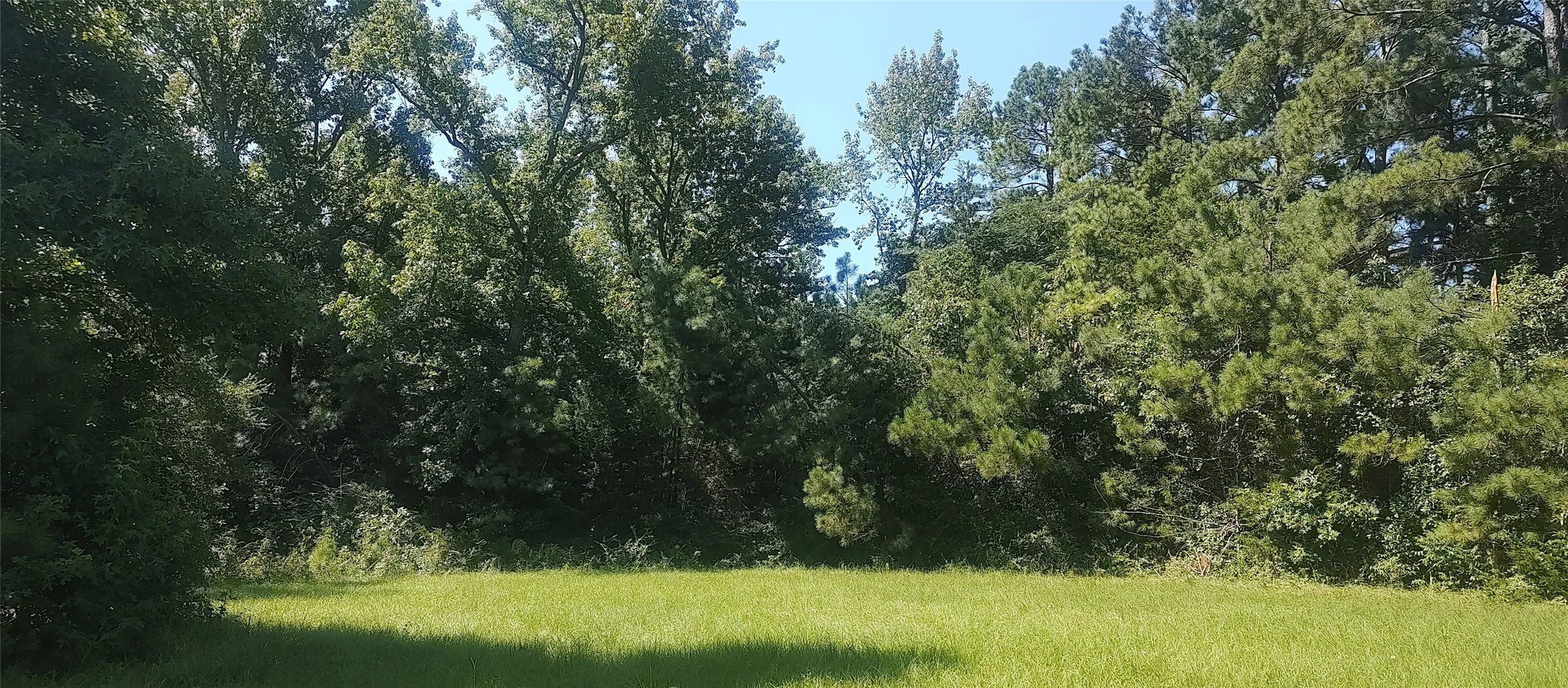 Improved Land For Sale in Shelby County , 381 County Road 4688, Tenaha, Texas 75974, 0, 0, Garage spaces, 0 Sqft, built in 0, Price $299,528, mls#21350971, Real Estate Agent in Tenaha, Homes For Sale in Shelby county, Homes For Sale in Tenaha, Realtor in Tenaha Texas, Real Estate Brokerage Independent Realty Texas, Luminita Cordes Realtor