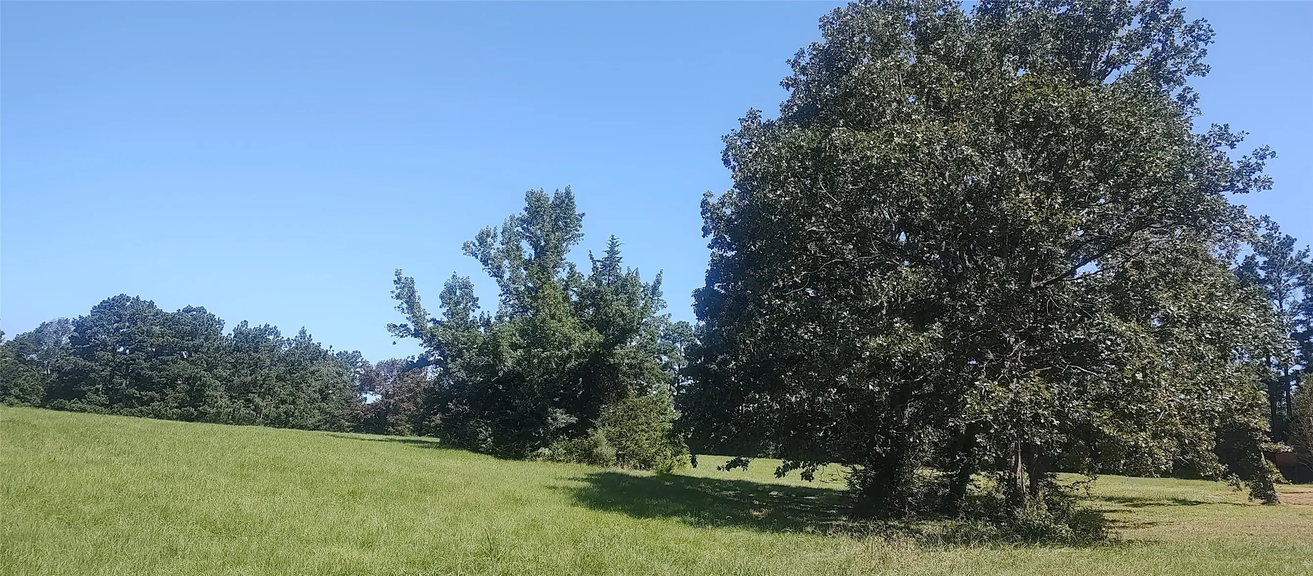 Improved Land For Sale in Shelby County , 381 County Road 4688, Tenaha, Texas 75974, 0, 0, Garage spaces, 0 Sqft, built in 0, Price $299,528, mls#21350971, Real Estate Agent in Tenaha, Homes For Sale in Shelby county, Homes For Sale in Tenaha, Realtor in Tenaha Texas, Real Estate Brokerage Independent Realty Texas, Luminita Cordes Realtor