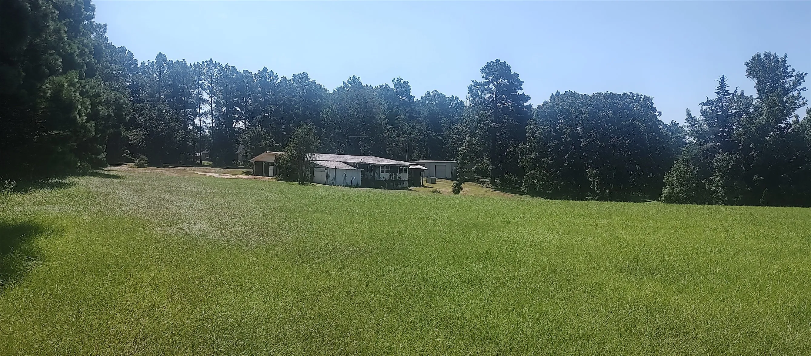 Improved Land For Sale in Shelby County , 381 County Road 4688, Tenaha, Texas 75974, 0, 0, Garage spaces, 0 Sqft, built in 0, Price $299,528, mls#21350971, Real Estate Agent in Tenaha, Homes For Sale in Shelby county, Homes For Sale in Tenaha, Realtor in Tenaha Texas, Real Estate Brokerage Independent Realty Texas, Luminita Cordes Realtor