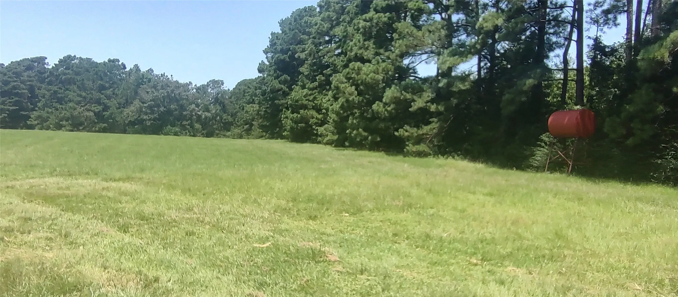 Improved Land For Sale in Shelby County , 381 County Road 4688, Tenaha, Texas 75974, 0, 0, Garage spaces, 0 Sqft, built in 0, Price $299,528, mls#21350971, Real Estate Agent in Tenaha, Homes For Sale in Shelby county, Homes For Sale in Tenaha, Realtor in Tenaha Texas, Real Estate Brokerage Independent Realty Texas, Luminita Cordes Realtor