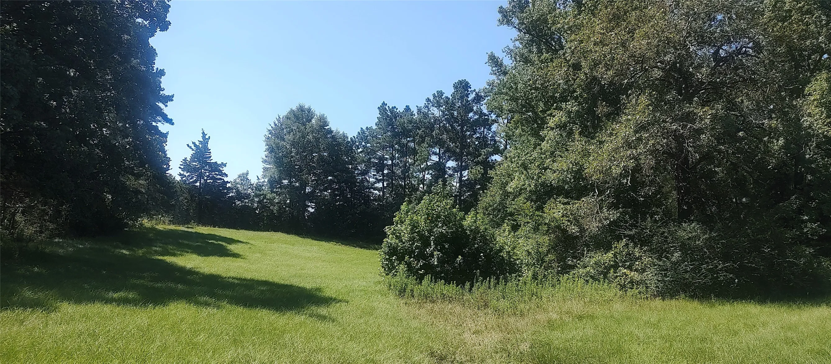 Improved Land For Sale in Shelby County , 381 County Road 4688, Tenaha, Texas 75974, 0, 0, Garage spaces, 0 Sqft, built in 0, Price $299,528, mls#21350971, Real Estate Agent in Tenaha, Homes For Sale in Shelby county, Homes For Sale in Tenaha, Realtor in Tenaha Texas, Real Estate Brokerage Independent Realty Texas, Luminita Cordes Realtor
