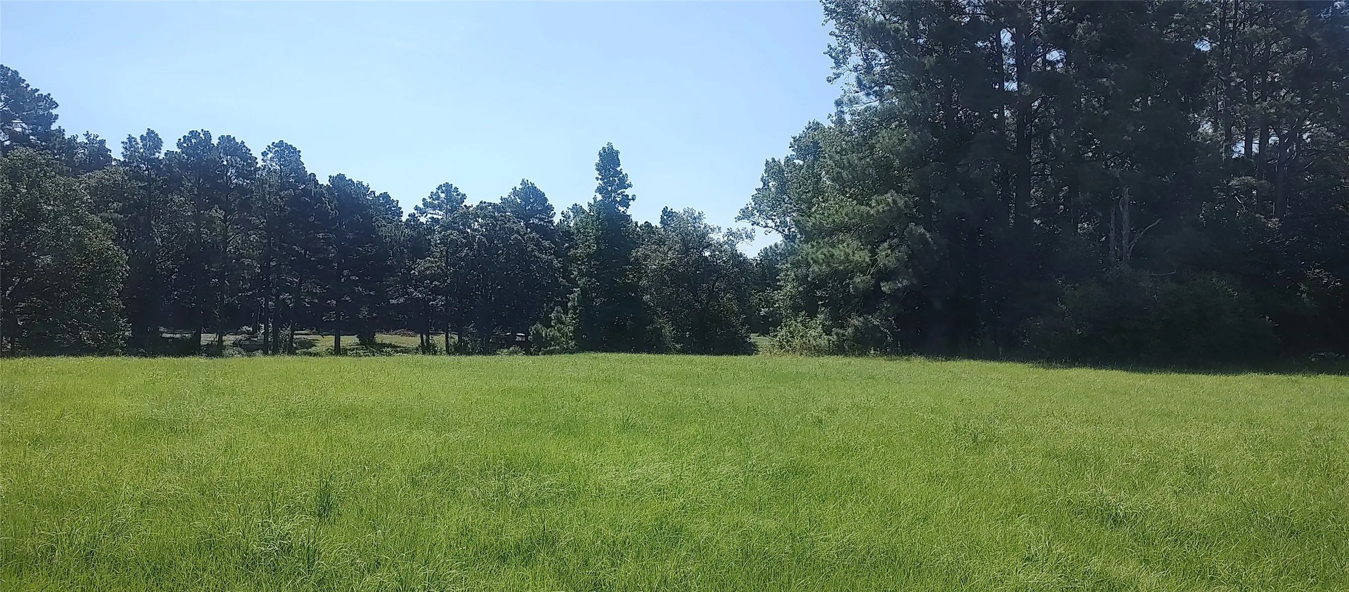 Improved Land For Sale in Shelby County , 381 County Road 4688, Tenaha, Texas 75974, 0, 0, Garage spaces, 0 Sqft, built in 0, Price $299,528, mls#21350971, Real Estate Agent in Tenaha, Homes For Sale in Shelby county, Homes For Sale in Tenaha, Realtor in Tenaha Texas, Real Estate Brokerage Independent Realty Texas, Luminita Cordes Realtor