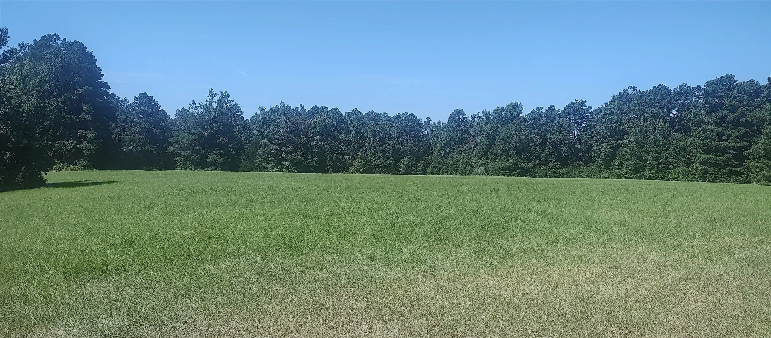 Improved Land For Sale in Shelby County , 381 County Road 4688, Tenaha, Texas 75974, 0, 0, Garage spaces, 0 Sqft, built in 0, Price $299,528, mls#21350971, Real Estate Agent in Tenaha, Homes For Sale in Shelby county, Homes For Sale in Tenaha, Realtor in Tenaha Texas, Real Estate Brokerage Independent Realty Texas, Luminita Cordes Realtor