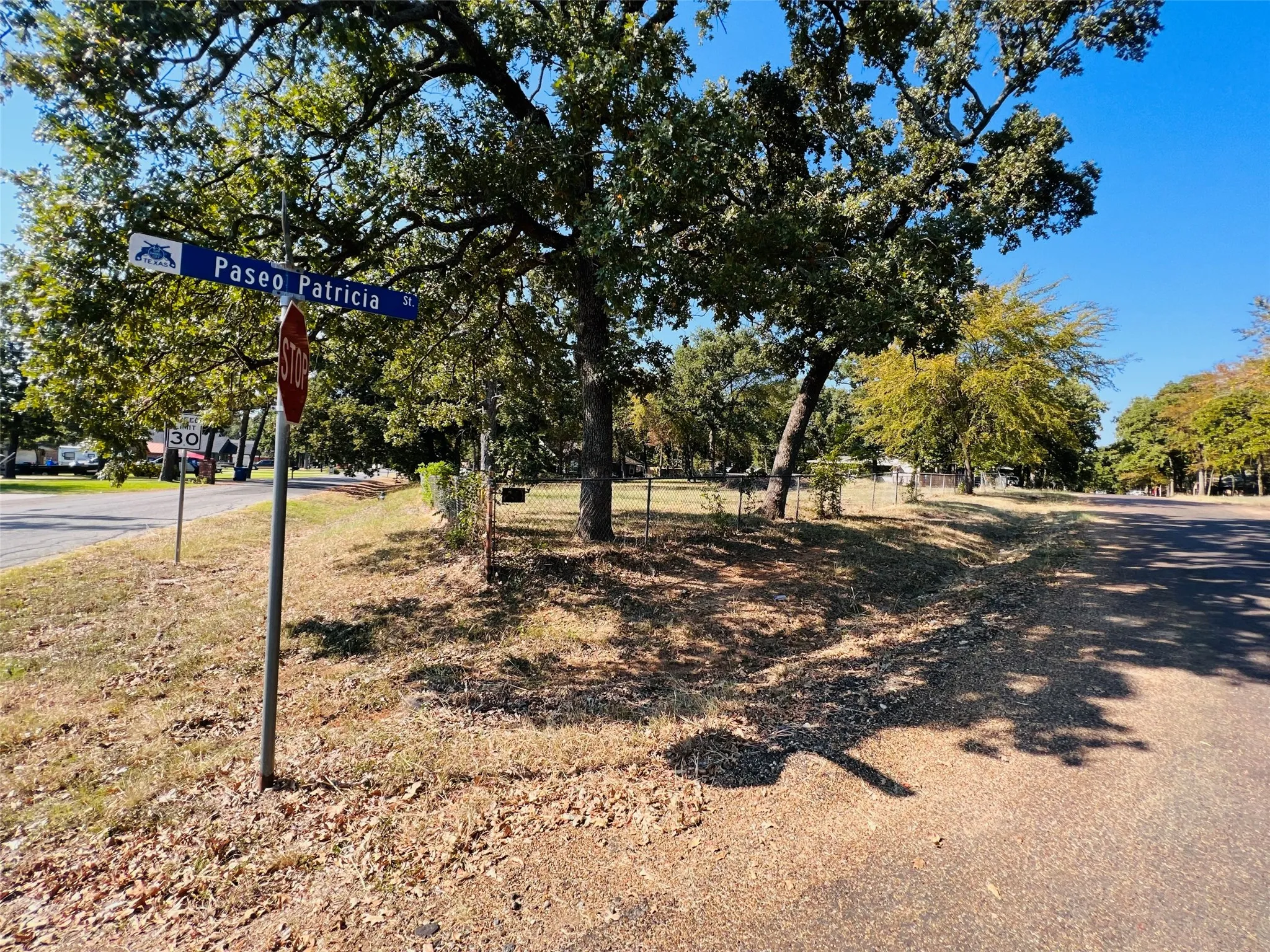 Unimproved Land For Sale in Henderson County , 123 Paseo Patricia Street, Gun Barrel City, Texas 75156, 0, 0, Garage spaces, 0 Sqft, built in 0, Price $55,000, mls#21350788, Real Estate Agent in Gun Barrel City, Homes For Sale in Henderson county, Homes For Sale in Gun Barrel City, Realtor in Gun Barrel City Texas, Real Estate Brokerage Independent Realty Texas, Luminita Cordes Realtor