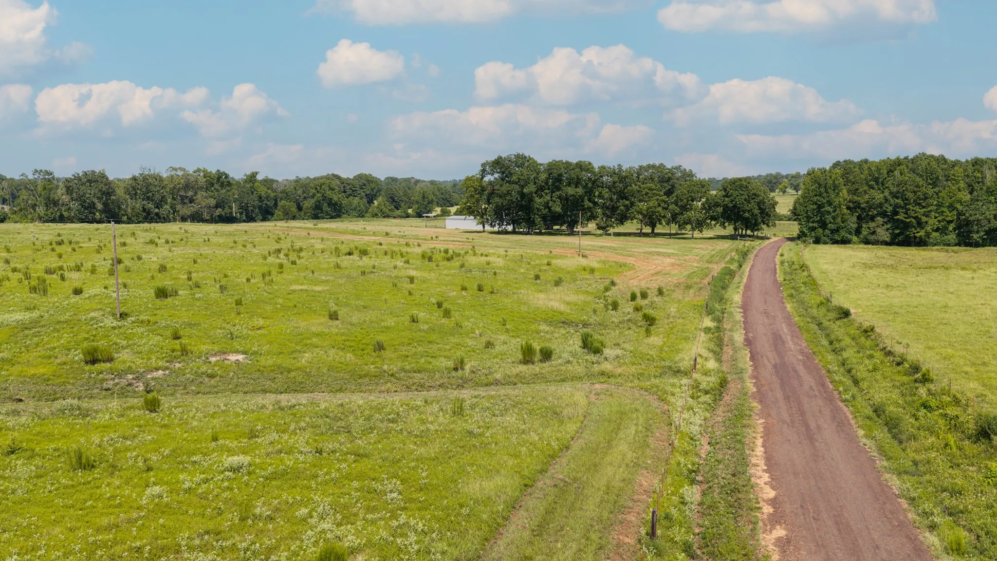 Ranch For Sale in Cass County , 2111 County Road 4335, Bivins, Texas 75555, 0, 0, Garage spaces, 0 Sqft, built in 0, Price $1,175,000, mls#21350526, Real Estate Agent in Bivins, Homes For Sale in Cass county, Homes For Sale in Bivins, Realtor in Bivins Texas, Real Estate Brokerage Independent Realty Texas, Luminita Cordes Realtor