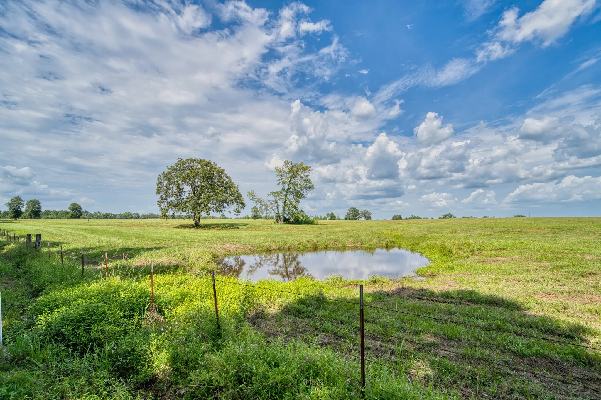 Ranch For Sale in Cass County , 2111 County Road 4335, Bivins, Texas 75555, 0, 0, Garage spaces, 0 Sqft, built in 0, Price $1,175,000, mls#21350526, Real Estate Agent in Bivins, Homes For Sale in Cass county, Homes For Sale in Bivins, Realtor in Bivins Texas, Real Estate Brokerage Independent Realty Texas, Luminita Cordes Realtor