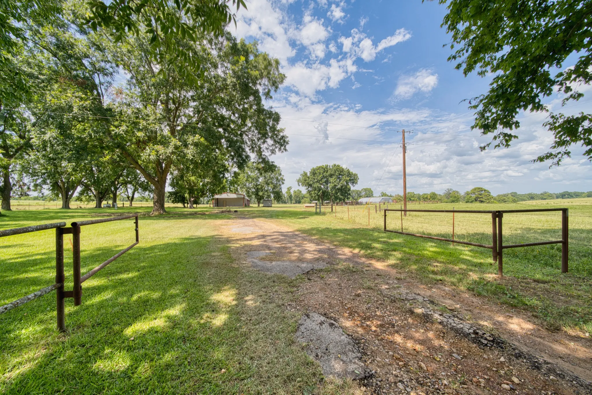 Ranch For Sale in Cass County , 2111 County Road 4335, Bivins, Texas 75555, 0, 0, Garage spaces, 0 Sqft, built in 0, Price $1,175,000, mls#21350526, Real Estate Agent in Bivins, Homes For Sale in Cass county, Homes For Sale in Bivins, Realtor in Bivins Texas, Real Estate Brokerage Independent Realty Texas, Luminita Cordes Realtor