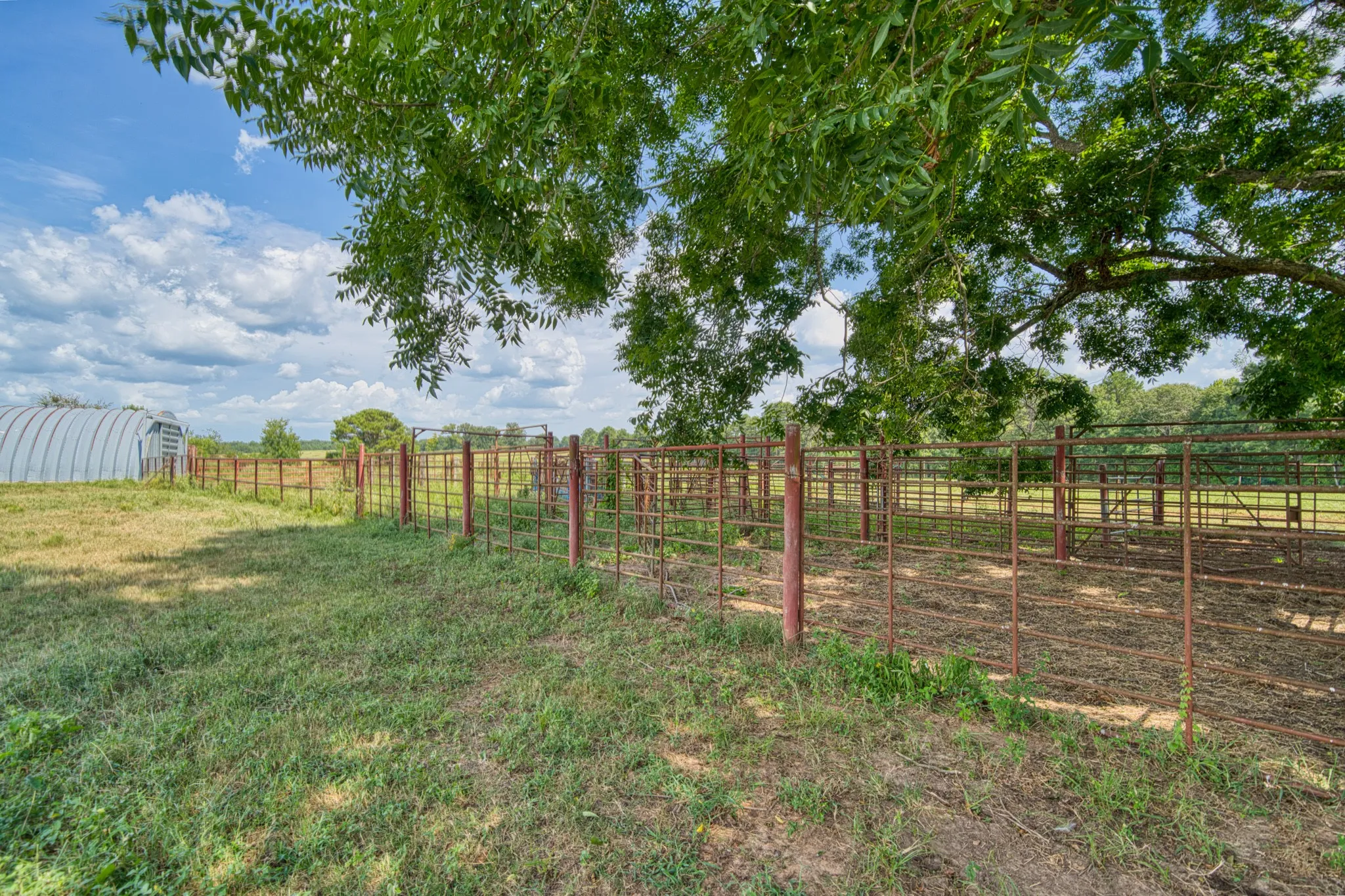 Livestock working and holding pens