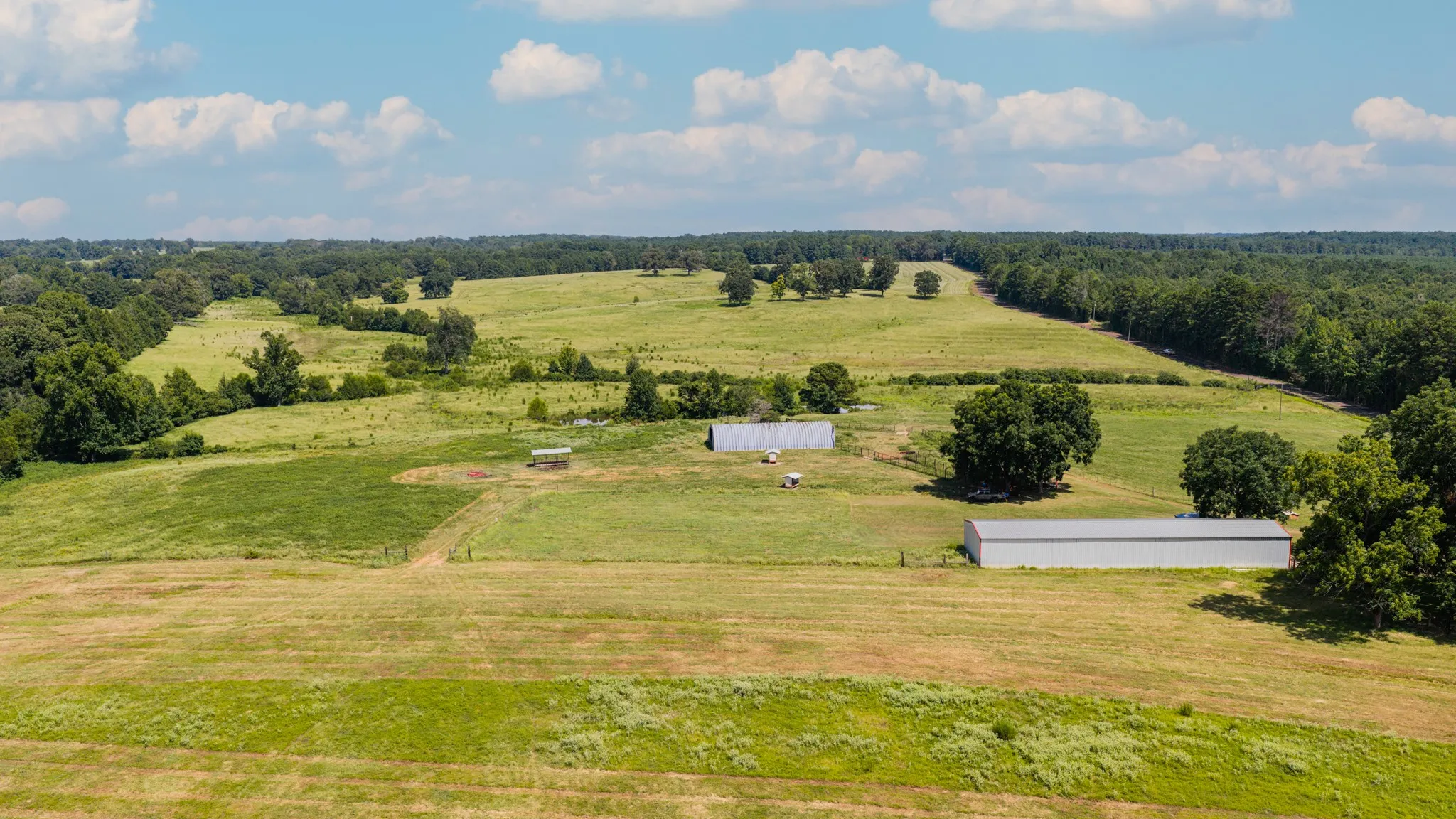 Ranch For Sale in Cass County , 2111 County Road 4335, Bivins, Texas 75555, 0, 0, Garage spaces, 0 Sqft, built in 0, Price $1,175,000, mls#21350526, Real Estate Agent in Bivins, Homes For Sale in Cass county, Homes For Sale in Bivins, Realtor in Bivins Texas, Real Estate Brokerage Independent Realty Texas, Luminita Cordes Realtor