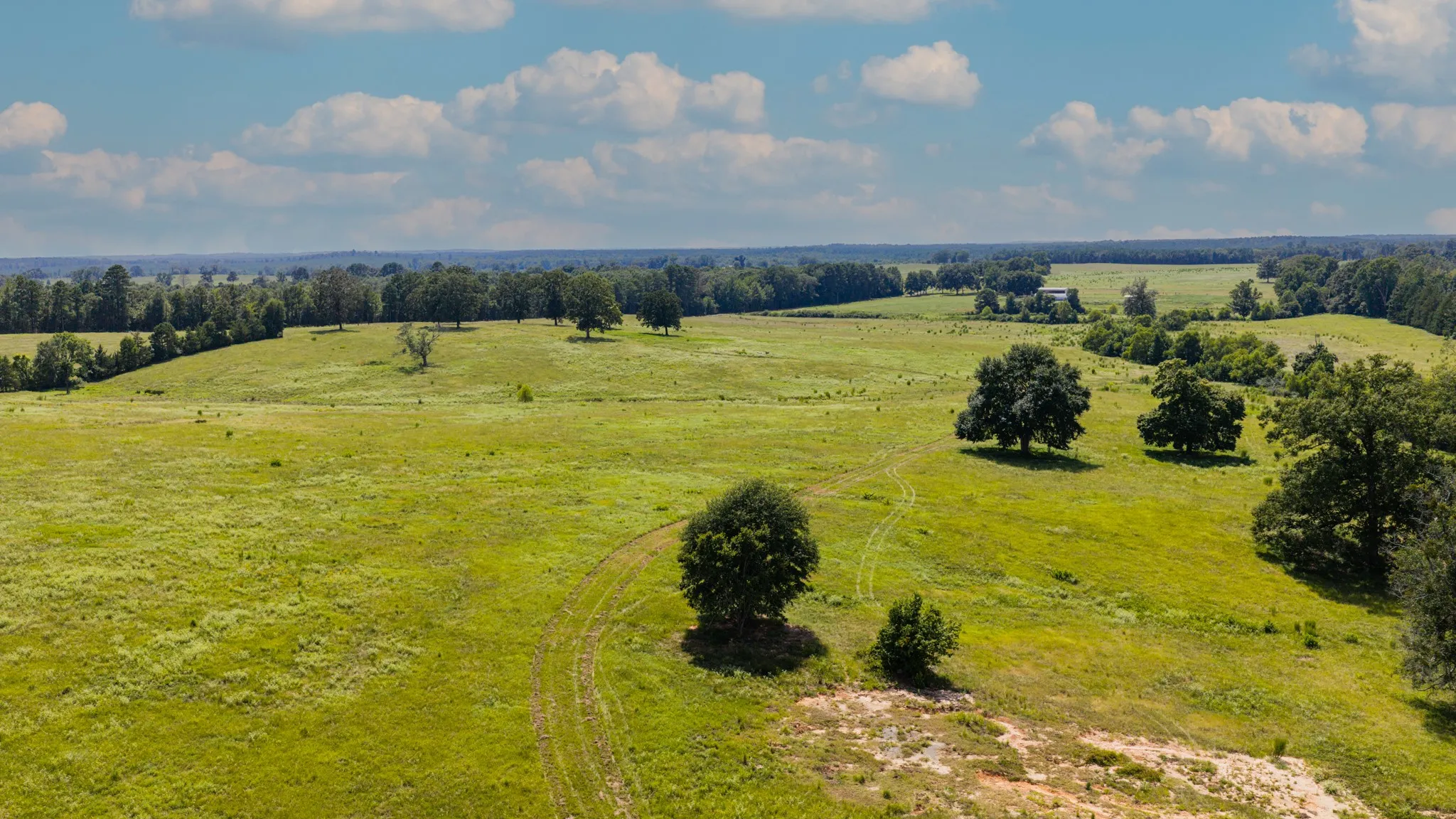 Ranch For Sale in Cass County , 2111 County Road 4335, Bivins, Texas 75555, 0, 0, Garage spaces, 0 Sqft, built in 0, Price $1,175,000, mls#21350526, Real Estate Agent in Bivins, Homes For Sale in Cass county, Homes For Sale in Bivins, Realtor in Bivins Texas, Real Estate Brokerage Independent Realty Texas, Luminita Cordes Realtor