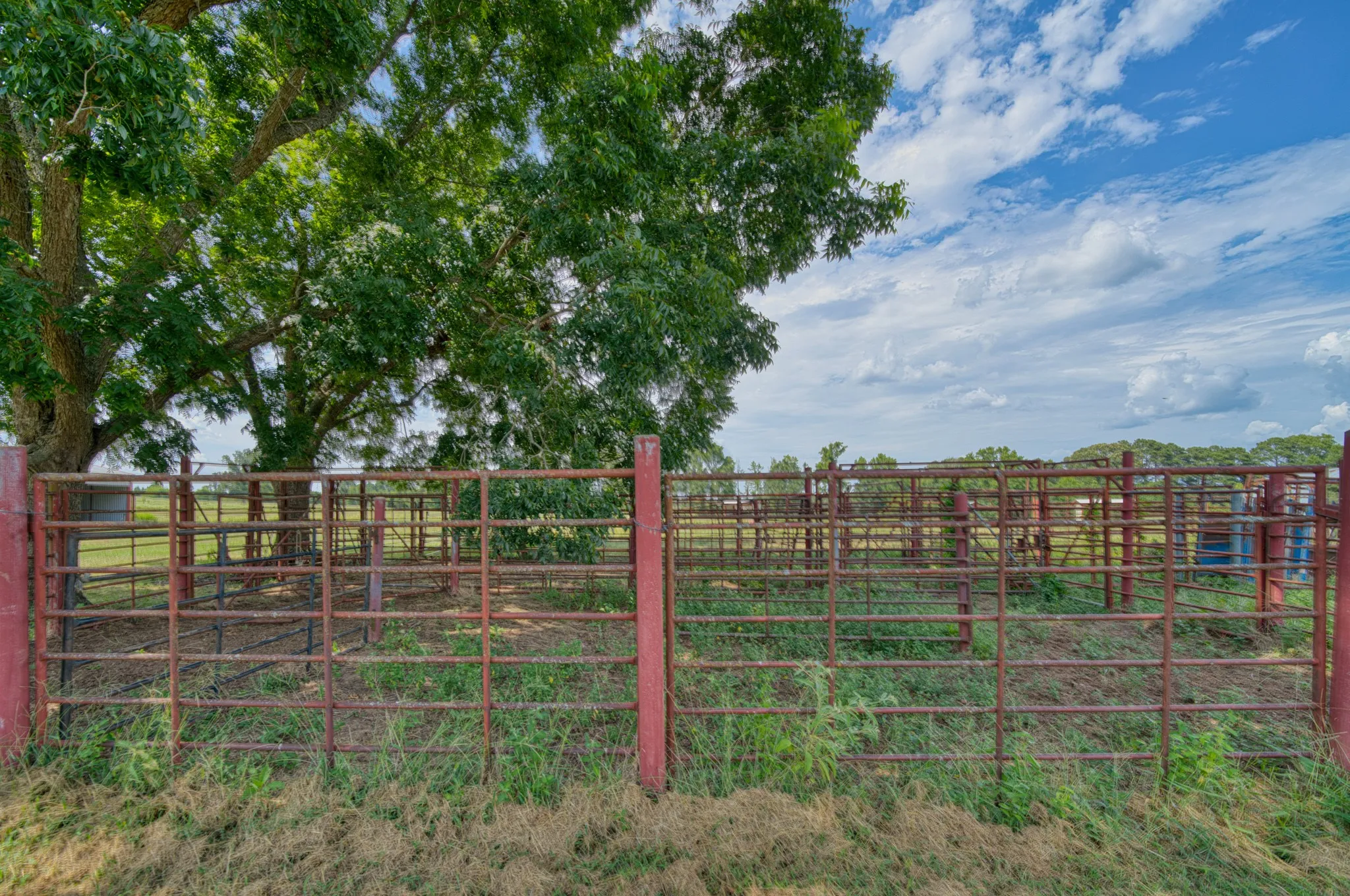 Livestock working and holding pens