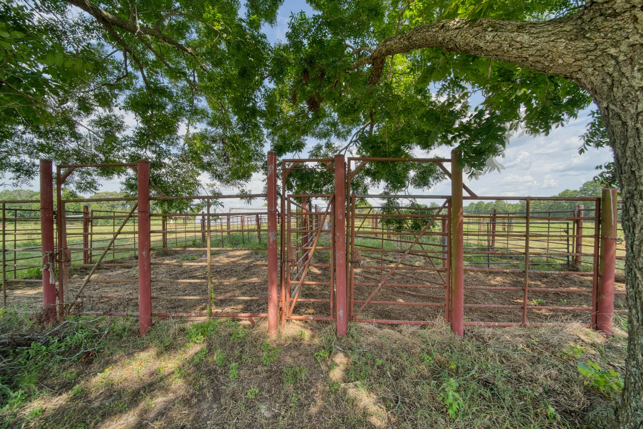 Ranch For Sale in Cass County , 2111 County Road 4335, Bivins, Texas 75555, 0, 0, Garage spaces, 0 Sqft, built in 0, Price $1,175,000, mls#21350526, Real Estate Agent in Bivins, Homes For Sale in Cass county, Homes For Sale in Bivins, Realtor in Bivins Texas, Real Estate Brokerage Independent Realty Texas, Luminita Cordes Realtor