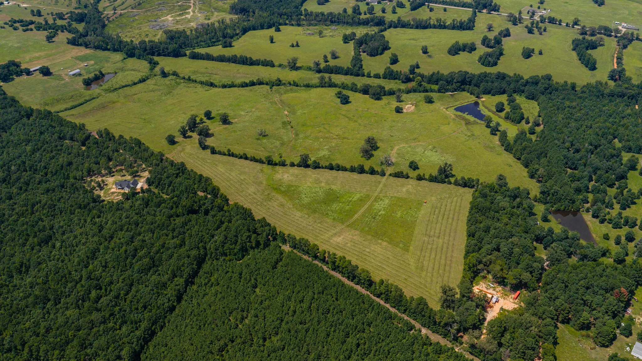 Ranch For Sale in Cass County , 2111 County Road 4335, Bivins, Texas 75555, 0, 0, Garage spaces, 0 Sqft, built in 0, Price $1,175,000, mls#21350526, Real Estate Agent in Bivins, Homes For Sale in Cass county, Homes For Sale in Bivins, Realtor in Bivins Texas, Real Estate Brokerage Independent Realty Texas, Luminita Cordes Realtor