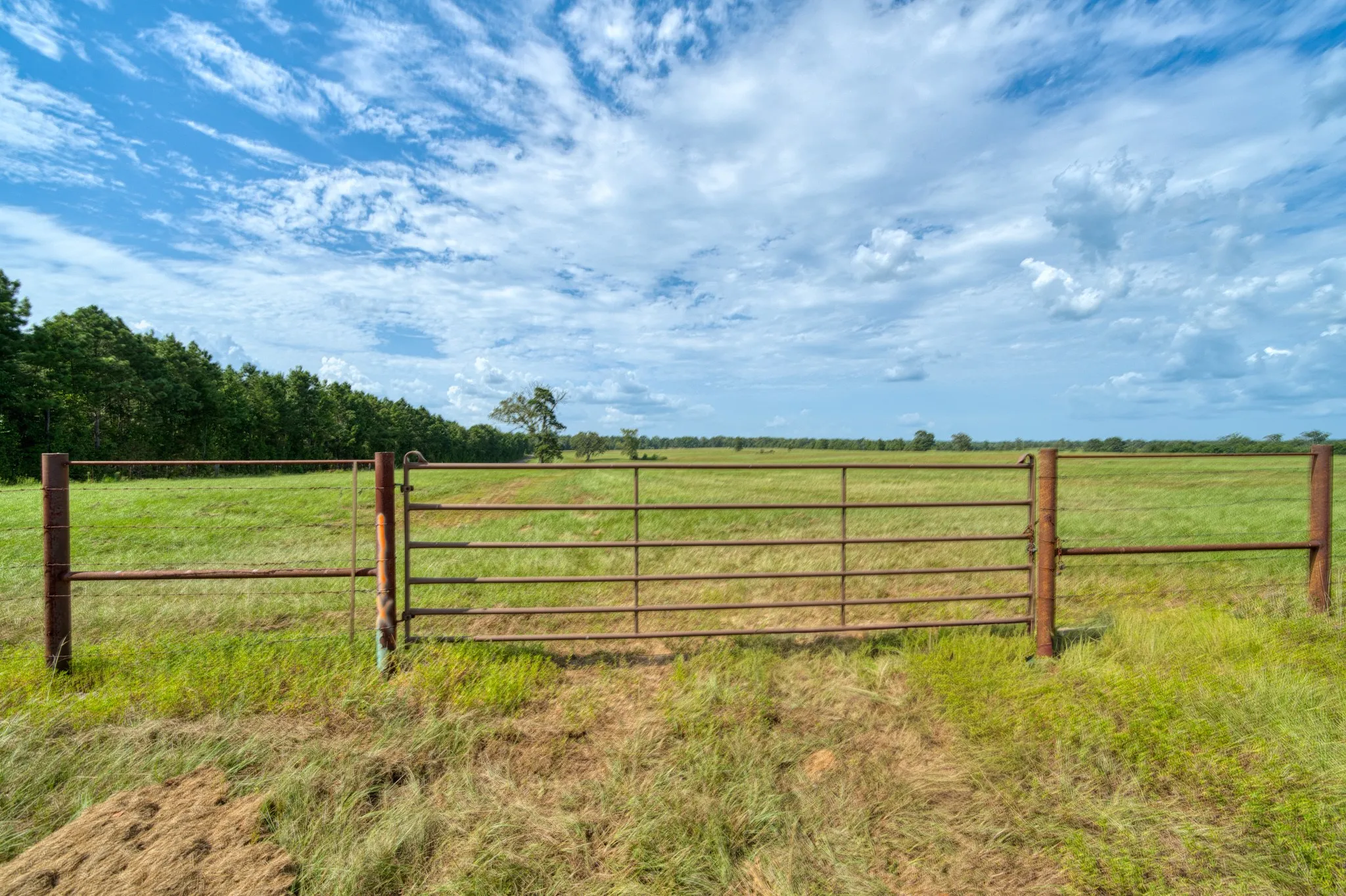 Ranch For Sale in Cass County , 2111 County Road 4335, Bivins, Texas 75555, 0, 0, Garage spaces, 0 Sqft, built in 0, Price $1,175,000, mls#21350526, Real Estate Agent in Bivins, Homes For Sale in Cass county, Homes For Sale in Bivins, Realtor in Bivins Texas, Real Estate Brokerage Independent Realty Texas, Luminita Cordes Realtor