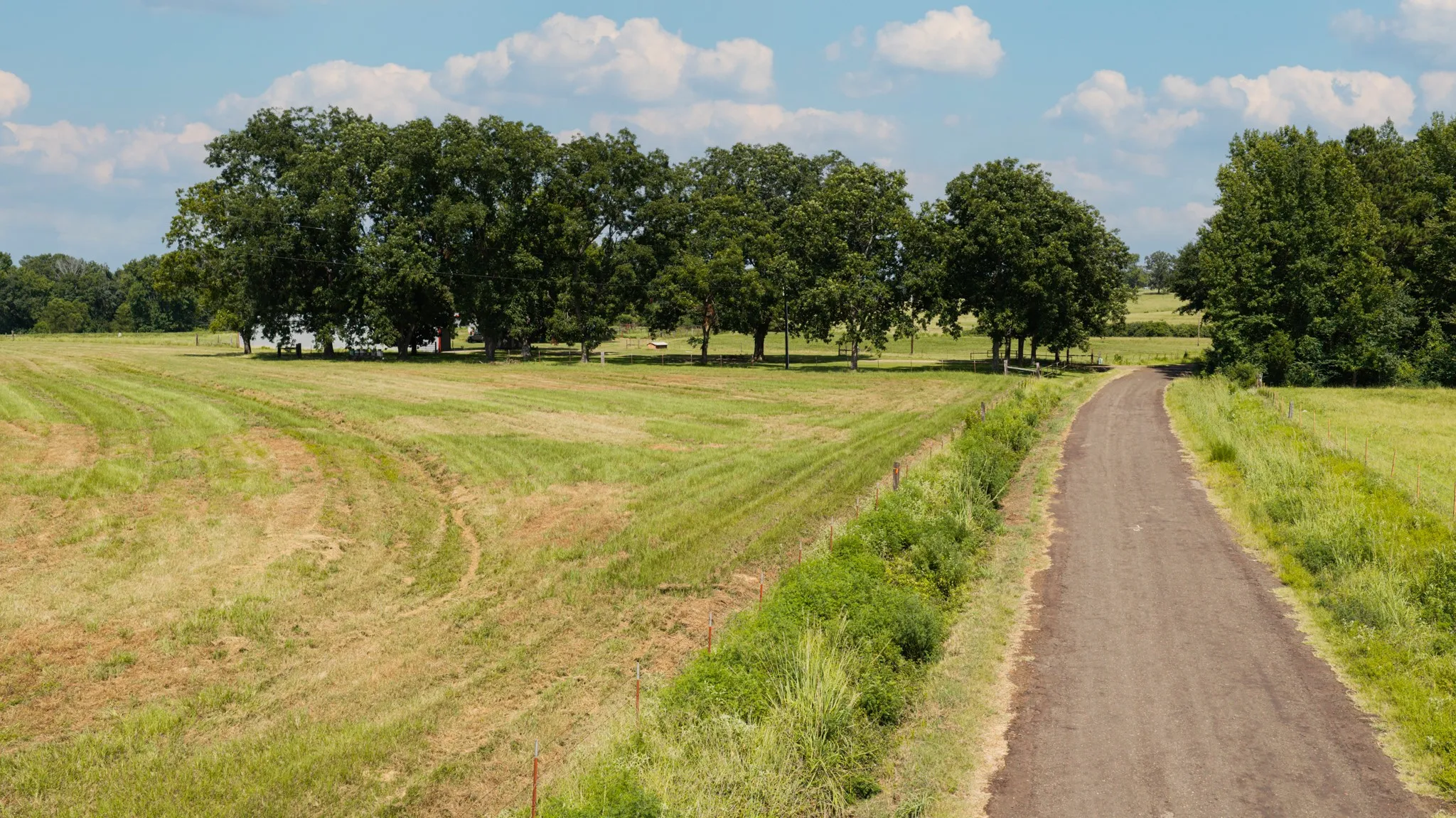 Ranch For Sale in Cass County , 2111 County Road 4335, Bivins, Texas 75555, 0, 0, Garage spaces, 0 Sqft, built in 0, Price $1,175,000, mls#21350526, Real Estate Agent in Bivins, Homes For Sale in Cass county, Homes For Sale in Bivins, Realtor in Bivins Texas, Real Estate Brokerage Independent Realty Texas, Luminita Cordes Realtor