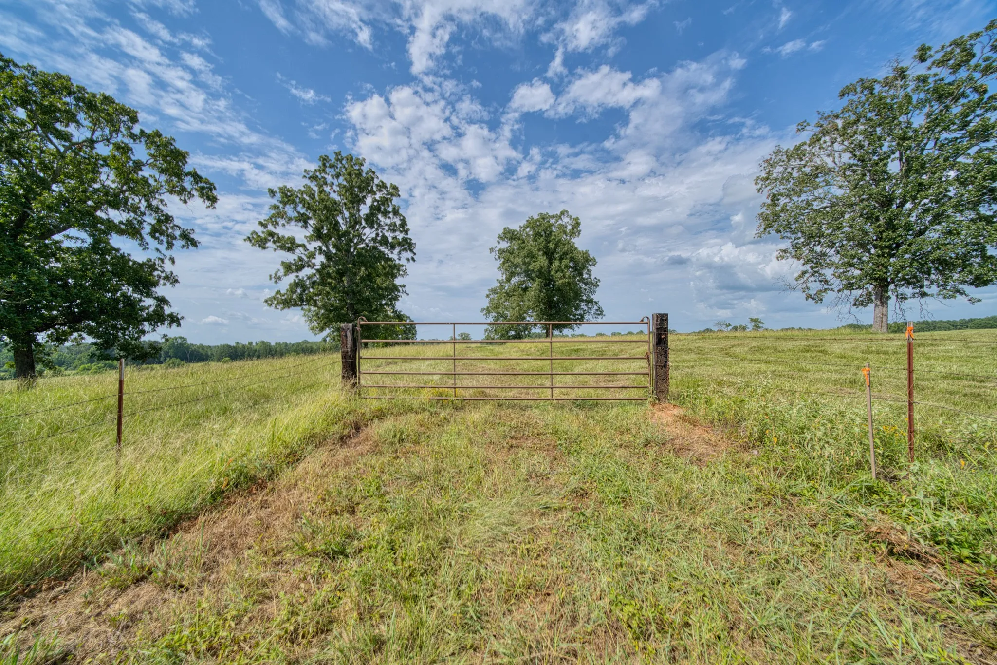 Ranch For Sale in Cass County , 2111 County Road 4335, Bivins, Texas 75555, 0, 0, Garage spaces, 0 Sqft, built in 0, Price $1,175,000, mls#21350526, Real Estate Agent in Bivins, Homes For Sale in Cass county, Homes For Sale in Bivins, Realtor in Bivins Texas, Real Estate Brokerage Independent Realty Texas, Luminita Cordes Realtor