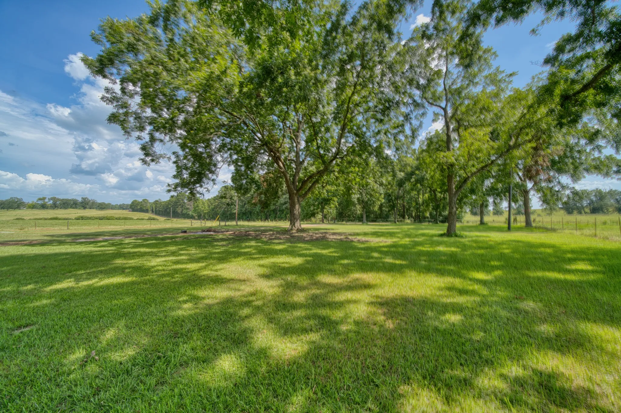 Ranch For Sale in Cass County , 2111 County Road 4335, Bivins, Texas 75555, 0, 0, Garage spaces, 0 Sqft, built in 0, Price $1,175,000, mls#21350526, Real Estate Agent in Bivins, Homes For Sale in Cass county, Homes For Sale in Bivins, Realtor in Bivins Texas, Real Estate Brokerage Independent Realty Texas, Luminita Cordes Realtor