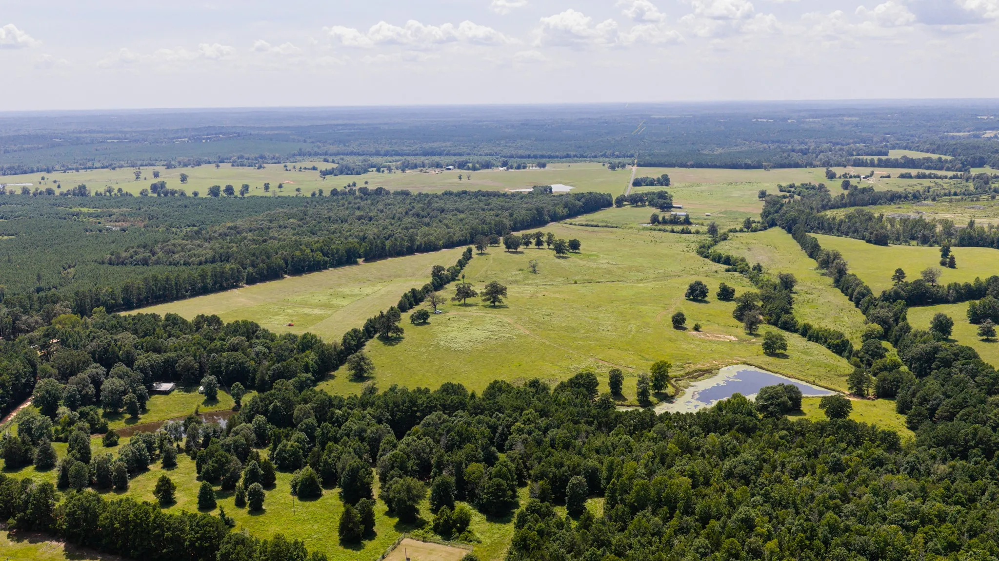 Ranch For Sale in Cass County , 2111 County Road 4335, Bivins, Texas 75555, 0, 0, Garage spaces, 0 Sqft, built in 0, Price $1,175,000, mls#21350526, Real Estate Agent in Bivins, Homes For Sale in Cass county, Homes For Sale in Bivins, Realtor in Bivins Texas, Real Estate Brokerage Independent Realty Texas, Luminita Cordes Realtor