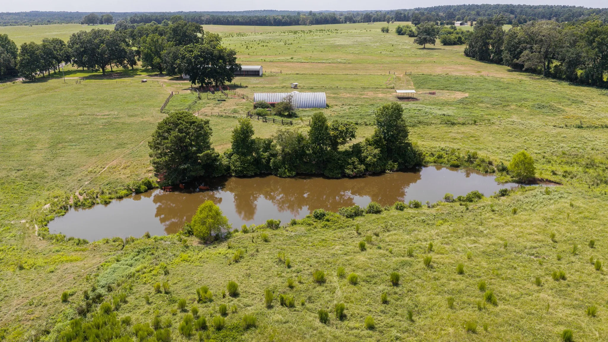 Ranch For Sale in Cass County , 2111 County Road 4335, Bivins, Texas 75555, 0, 0, Garage spaces, 0 Sqft, built in 0, Price $1,175,000, mls#21350526, Real Estate Agent in Bivins, Homes For Sale in Cass county, Homes For Sale in Bivins, Realtor in Bivins Texas, Real Estate Brokerage Independent Realty Texas, Luminita Cordes Realtor