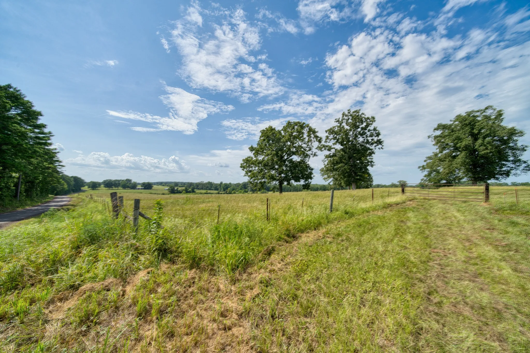 Ranch For Sale in Cass County , 2111 County Road 4335, Bivins, Texas 75555, 0, 0, Garage spaces, 0 Sqft, built in 0, Price $1,175,000, mls#21350526, Real Estate Agent in Bivins, Homes For Sale in Cass county, Homes For Sale in Bivins, Realtor in Bivins Texas, Real Estate Brokerage Independent Realty Texas, Luminita Cordes Realtor