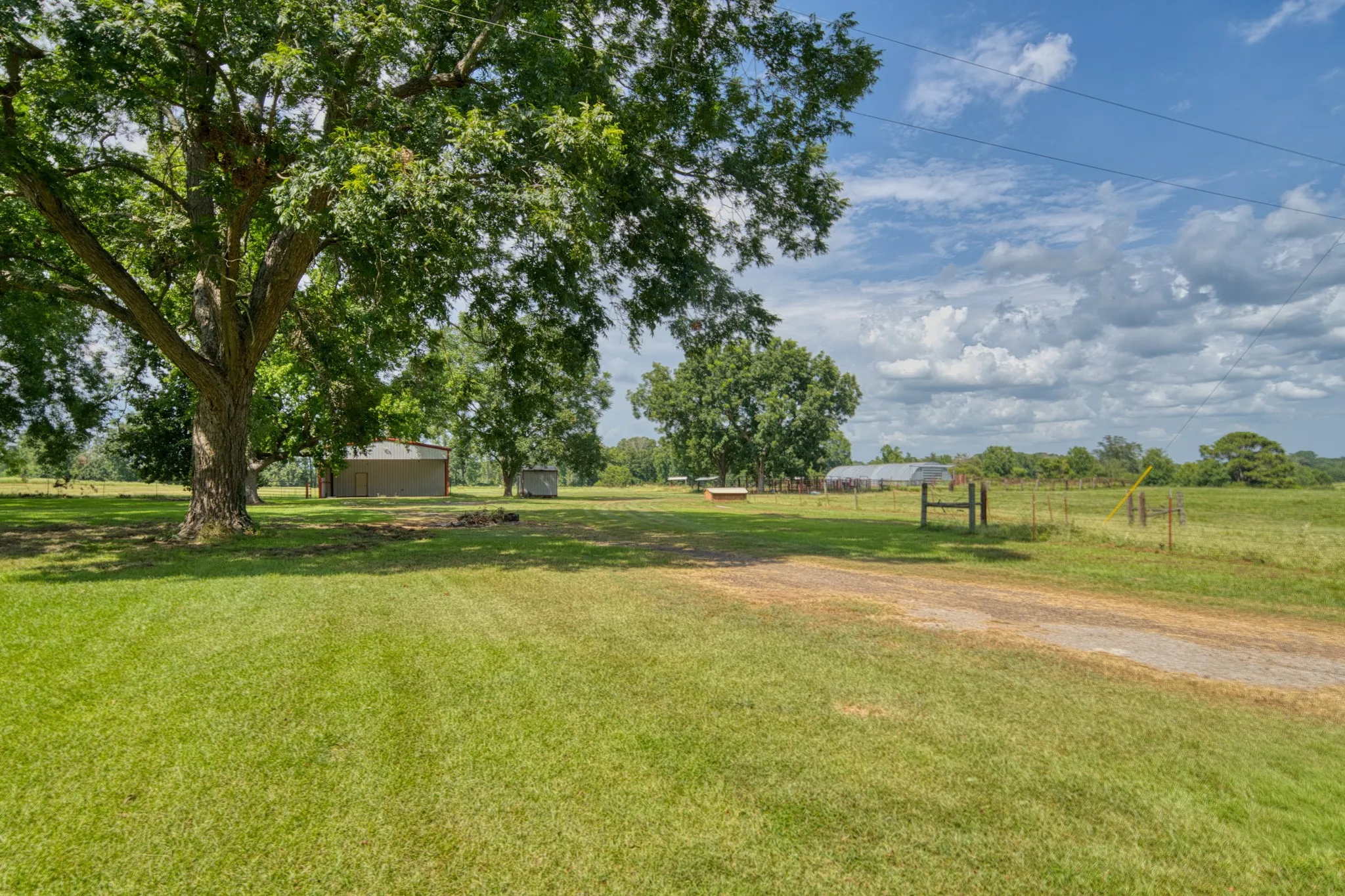 Ranch For Sale in Cass County , 2111 County Road 4335, Bivins, Texas 75555, 0, 0, Garage spaces, 0 Sqft, built in 0, Price $1,175,000, mls#21350526, Real Estate Agent in Bivins, Homes For Sale in Cass county, Homes For Sale in Bivins, Realtor in Bivins Texas, Real Estate Brokerage Independent Realty Texas, Luminita Cordes Realtor