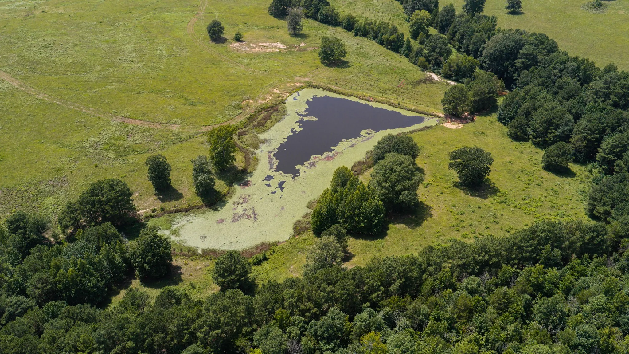 Ranch For Sale in Cass County , 2111 County Road 4335, Bivins, Texas 75555, 0, 0, Garage spaces, 0 Sqft, built in 0, Price $1,175,000, mls#21350526, Real Estate Agent in Bivins, Homes For Sale in Cass county, Homes For Sale in Bivins, Realtor in Bivins Texas, Real Estate Brokerage Independent Realty Texas, Luminita Cordes Realtor