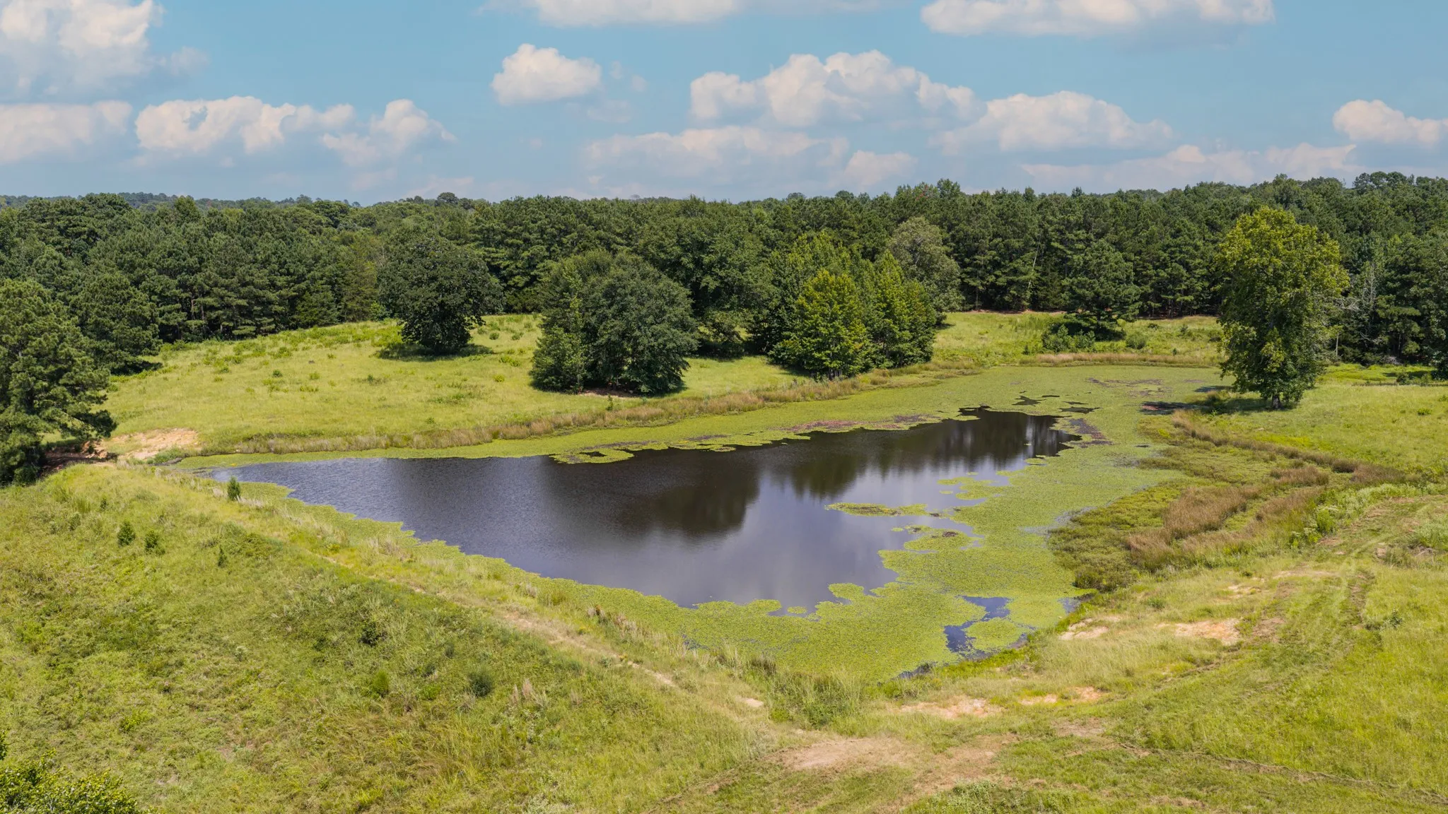 Ranch For Sale in Cass County , 2111 County Road 4335, Bivins, Texas 75555, 0, 0, Garage spaces, 0 Sqft, built in 0, Price $1,175,000, mls#21350526, Real Estate Agent in Bivins, Homes For Sale in Cass county, Homes For Sale in Bivins, Realtor in Bivins Texas, Real Estate Brokerage Independent Realty Texas, Luminita Cordes Realtor