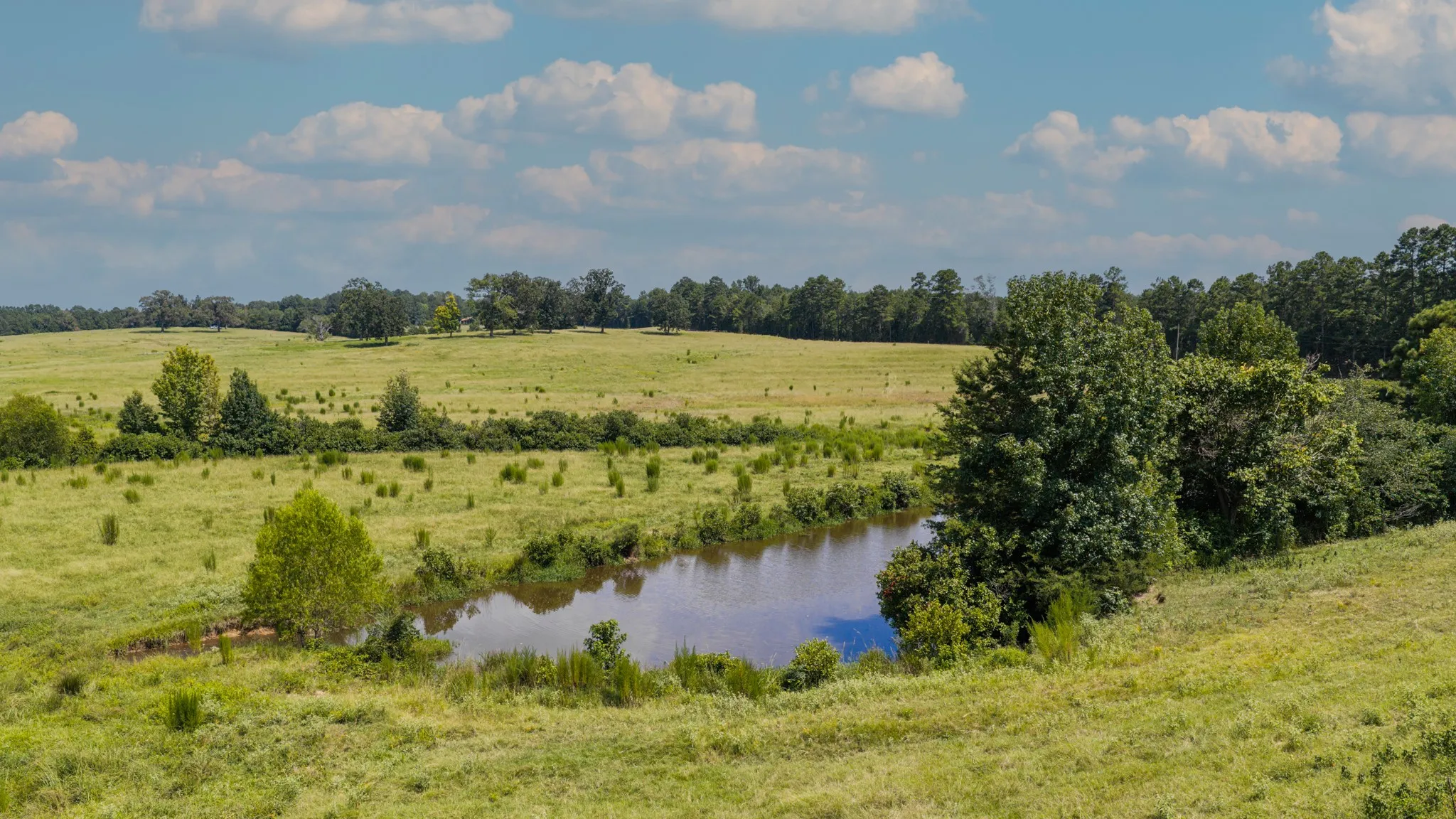 Ranch For Sale in Cass County , 2111 County Road 4335, Bivins, Texas 75555, 0, 0, Garage spaces, 0 Sqft, built in 0, Price $1,175,000, mls#21350526, Real Estate Agent in Bivins, Homes For Sale in Cass county, Homes For Sale in Bivins, Realtor in Bivins Texas, Real Estate Brokerage Independent Realty Texas, Luminita Cordes Realtor