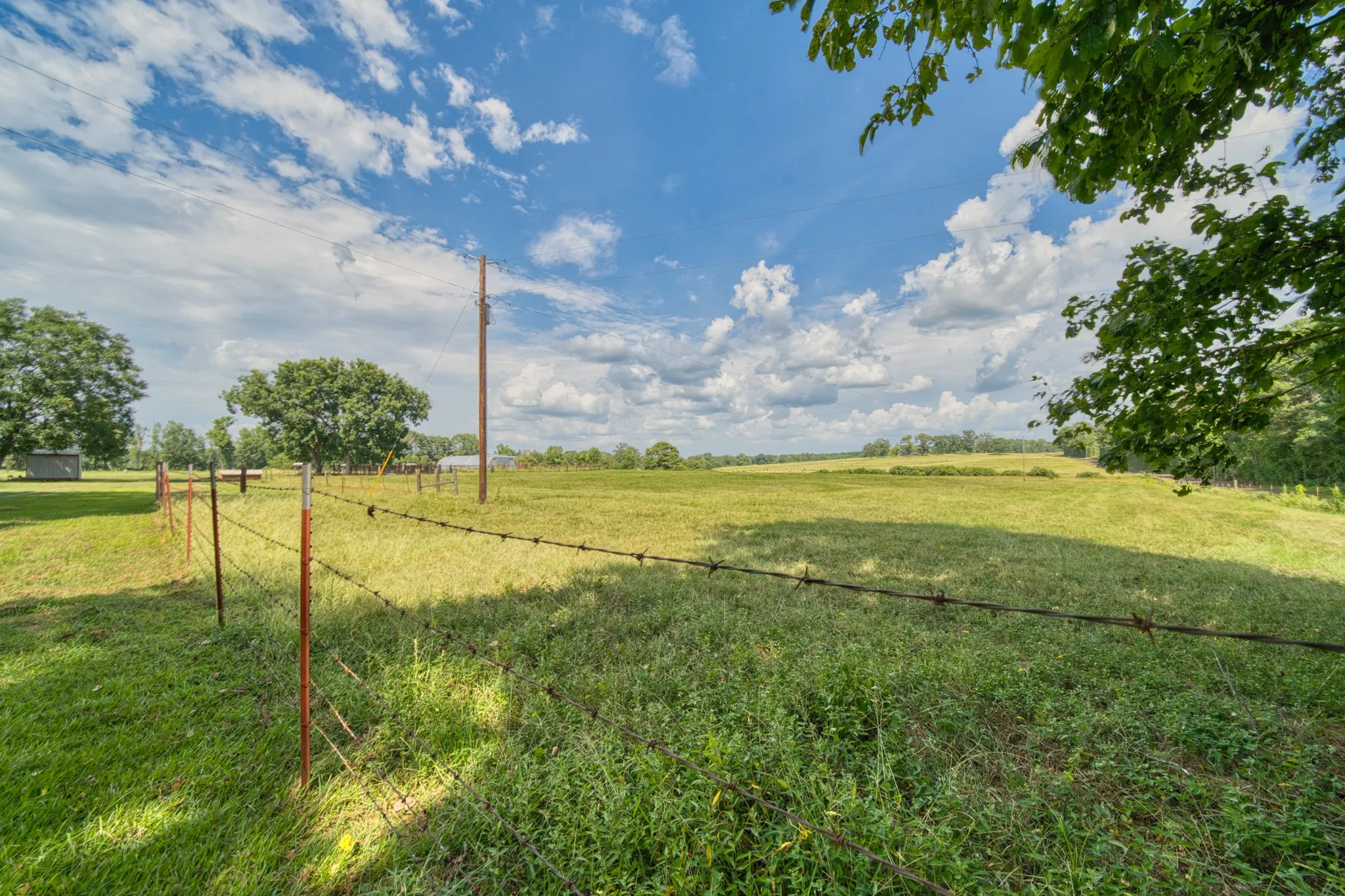 Ranch For Sale in Cass County , 2111 County Road 4335, Bivins, Texas 75555, 0, 0, Garage spaces, 0 Sqft, built in 0, Price $1,175,000, mls#21350526, Real Estate Agent in Bivins, Homes For Sale in Cass county, Homes For Sale in Bivins, Realtor in Bivins Texas, Real Estate Brokerage Independent Realty Texas, Luminita Cordes Realtor