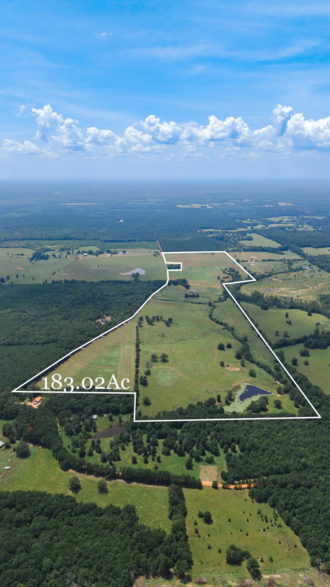 Ranch For Sale in Cass County , 2111 County Road 4335, Bivins, Texas 75555, 0, 0, Garage spaces, 0 Sqft, built in 0, Price $1,175,000, mls#21350526, Real Estate Agent in Bivins, Homes For Sale in Cass county, Homes For Sale in Bivins, Realtor in Bivins Texas, Real Estate Brokerage Independent Realty Texas, Luminita Cordes Realtor