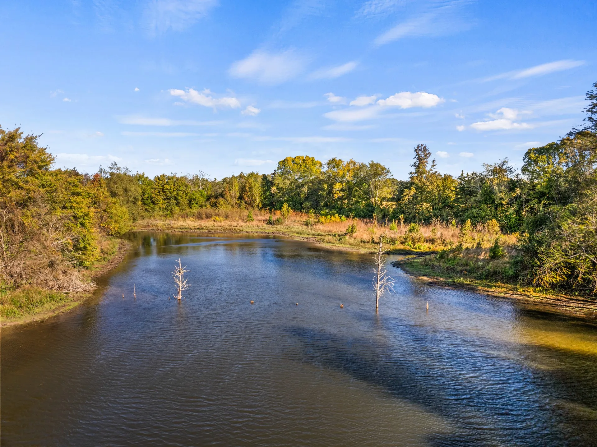 Unimproved Land For Sale in Titus County , TBD FM 1402 15 AC, Mt Pleasant, Texas 75455, 0, 0, Garage spaces, 0 Sqft, built in 0, mls#21351051, Real Estate Agent in Mt Pleasant, Homes For Sale in Titus county, Homes For Sale in Mt Pleasant, Realtor in Mt Pleasant Texas, Real Estate Brokerage Independent Realty Texas, Luminita Cordes Realtor