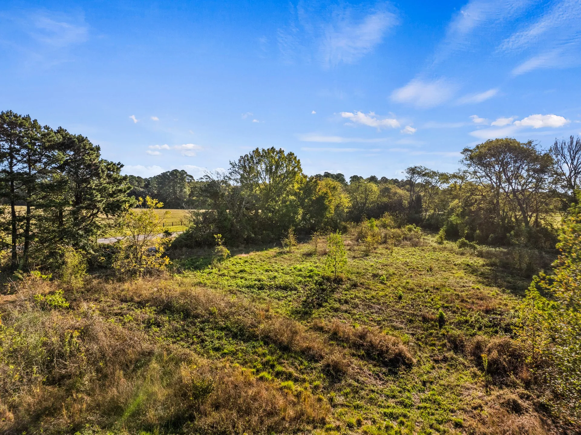 Unimproved Land For Sale in Titus County , TBD FM 1402 15 AC, Mt Pleasant, Texas 75455, 0, 0, Garage spaces, 0 Sqft, built in 0, mls#21351051, Real Estate Agent in Mt Pleasant, Homes For Sale in Titus county, Homes For Sale in Mt Pleasant, Realtor in Mt Pleasant Texas, Real Estate Brokerage Independent Realty Texas, Luminita Cordes Realtor