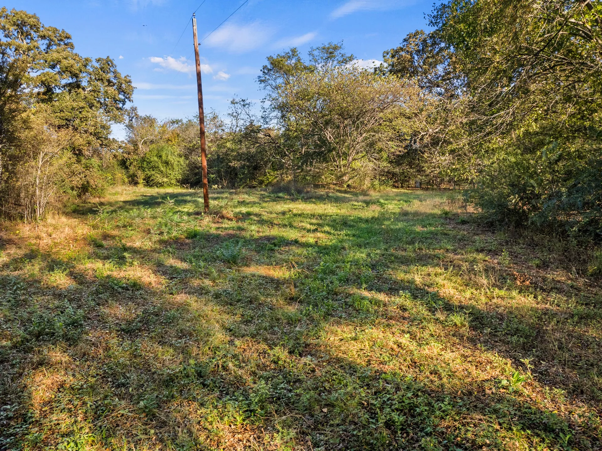Unimproved Land For Sale in Titus County , TBD FM 1402 15 AC, Mt Pleasant, Texas 75455, 0, 0, Garage spaces, 0 Sqft, built in 0, mls#21351051, Real Estate Agent in Mt Pleasant, Homes For Sale in Titus county, Homes For Sale in Mt Pleasant, Realtor in Mt Pleasant Texas, Real Estate Brokerage Independent Realty Texas, Luminita Cordes Realtor