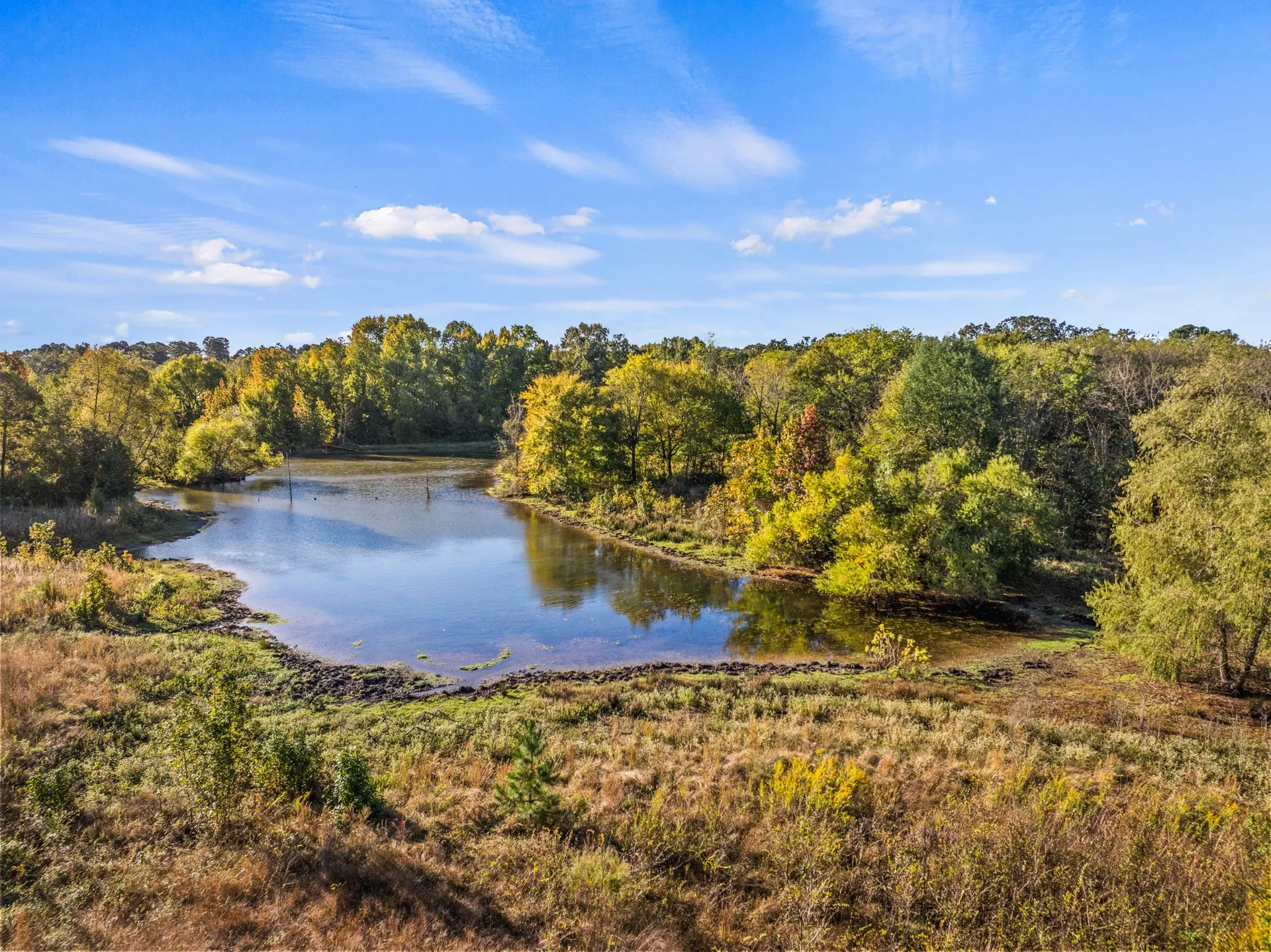 Unimproved Land For Sale in Titus County , TBD FM 1402 15 AC, Mt Pleasant, Texas 75455, 0, 0, Garage spaces, 0 Sqft, built in 0, mls#21351051, Real Estate Agent in Mt Pleasant, Homes For Sale in Titus county, Homes For Sale in Mt Pleasant, Realtor in Mt Pleasant Texas, Real Estate Brokerage Independent Realty Texas, Luminita Cordes Realtor