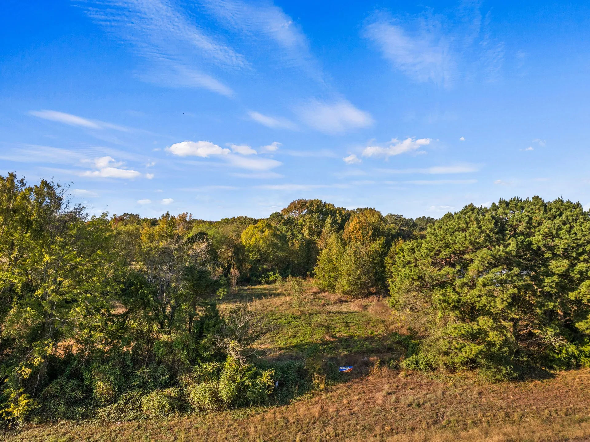 Unimproved Land For Sale in Titus County , TBD FM 1402 15 AC, Mt Pleasant, Texas 75455, 0, 0, Garage spaces, 0 Sqft, built in 0, mls#21351051, Real Estate Agent in Mt Pleasant, Homes For Sale in Titus county, Homes For Sale in Mt Pleasant, Realtor in Mt Pleasant Texas, Real Estate Brokerage Independent Realty Texas, Luminita Cordes Realtor