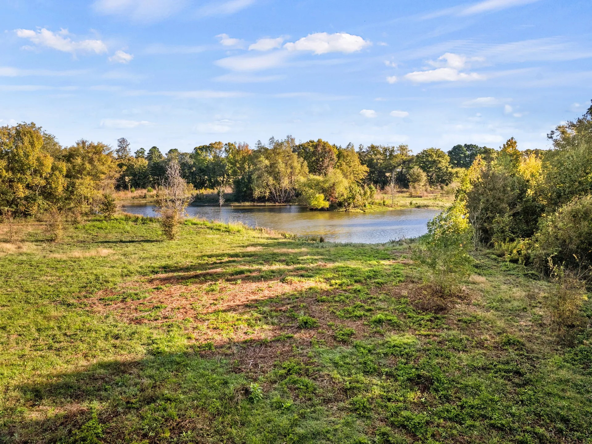 Unimproved Land For Sale in Titus County , TBD FM 1402 15 AC, Mt Pleasant, Texas 75455, 0, 0, Garage spaces, 0 Sqft, built in 0, mls#21351051, Real Estate Agent in Mt Pleasant, Homes For Sale in Titus county, Homes For Sale in Mt Pleasant, Realtor in Mt Pleasant Texas, Real Estate Brokerage Independent Realty Texas, Luminita Cordes Realtor