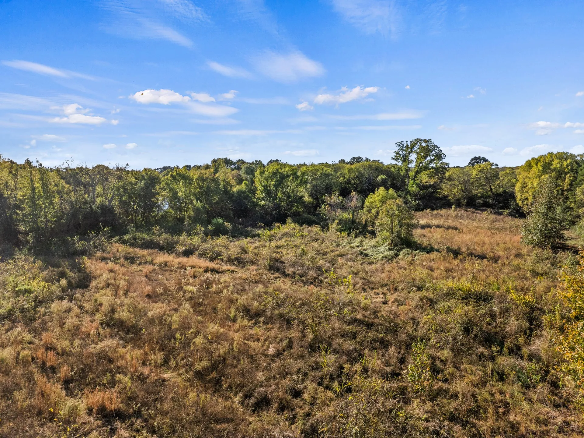 Unimproved Land For Sale in Titus County , TBD FM 1402 15 AC, Mt Pleasant, Texas 75455, 0, 0, Garage spaces, 0 Sqft, built in 0, mls#21351051, Real Estate Agent in Mt Pleasant, Homes For Sale in Titus county, Homes For Sale in Mt Pleasant, Realtor in Mt Pleasant Texas, Real Estate Brokerage Independent Realty Texas, Luminita Cordes Realtor