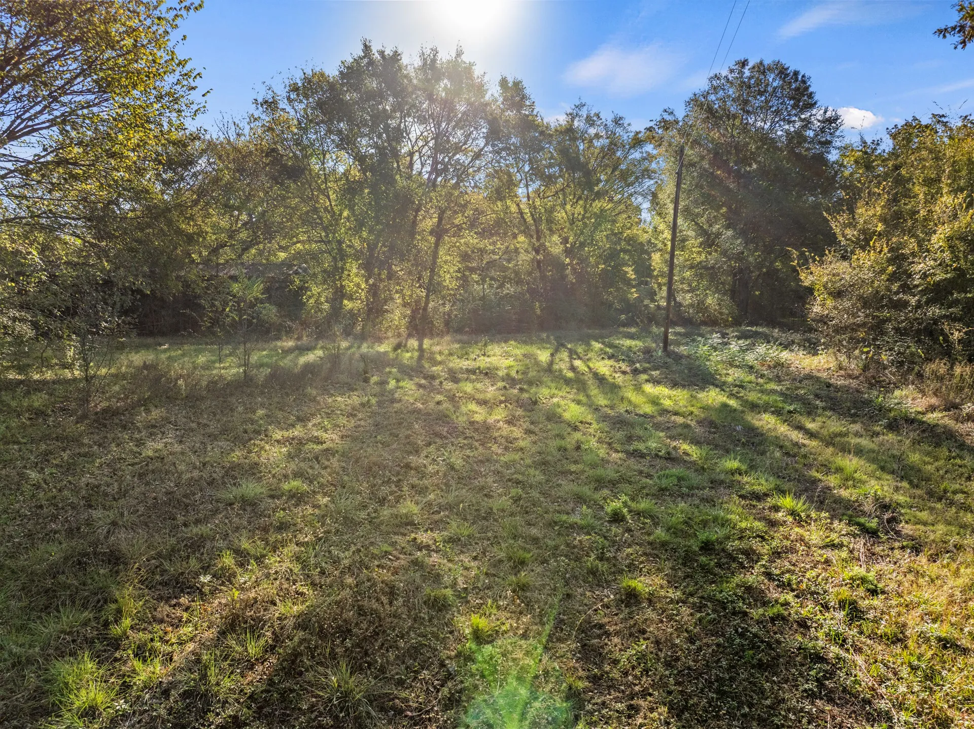 Unimproved Land For Sale in Titus County , TBD FM 1402 15 AC, Mt Pleasant, Texas 75455, 0, 0, Garage spaces, 0 Sqft, built in 0, mls#21351051, Real Estate Agent in Mt Pleasant, Homes For Sale in Titus county, Homes For Sale in Mt Pleasant, Realtor in Mt Pleasant Texas, Real Estate Brokerage Independent Realty Texas, Luminita Cordes Realtor