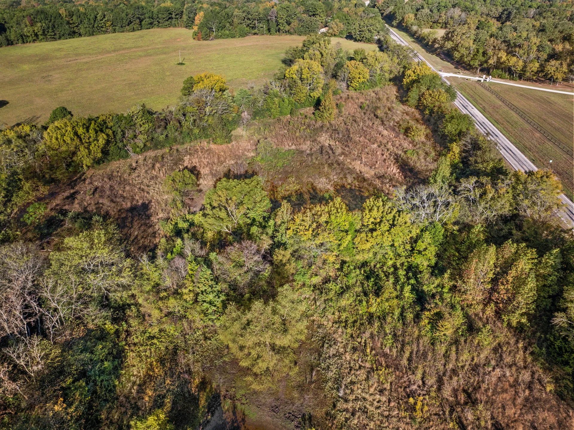 Unimproved Land For Sale in Titus County , TBD FM 1402 15 AC, Mt Pleasant, Texas 75455, 0, 0, Garage spaces, 0 Sqft, built in 0, mls#21351051, Real Estate Agent in Mt Pleasant, Homes For Sale in Titus county, Homes For Sale in Mt Pleasant, Realtor in Mt Pleasant Texas, Real Estate Brokerage Independent Realty Texas, Luminita Cordes Realtor