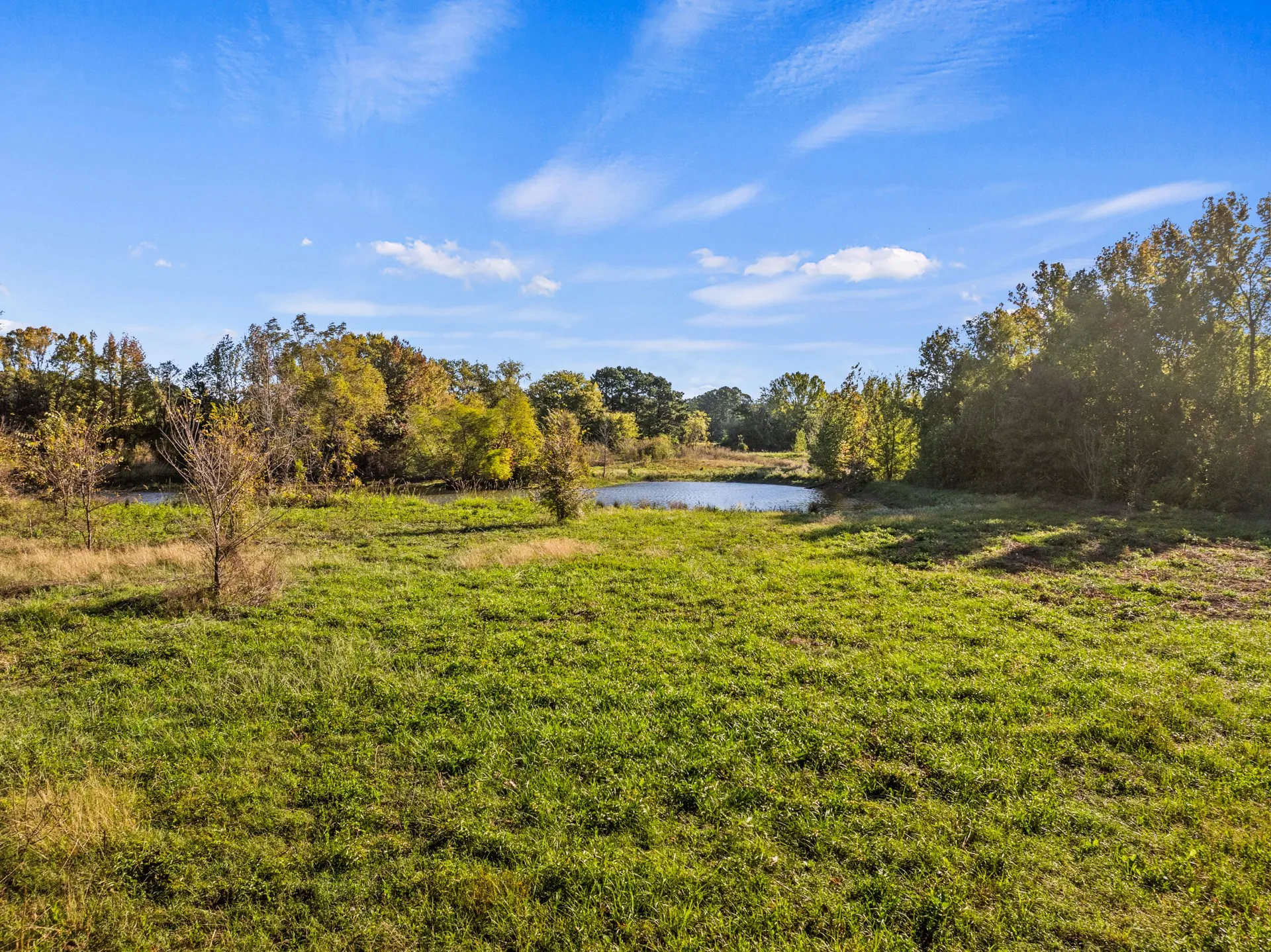 Unimproved Land For Sale in Titus County , TBD FM 1402 15 AC, Mt Pleasant, Texas 75455, 0, 0, Garage spaces, 0 Sqft, built in 0, mls#21351051, Real Estate Agent in Mt Pleasant, Homes For Sale in Titus county, Homes For Sale in Mt Pleasant, Realtor in Mt Pleasant Texas, Real Estate Brokerage Independent Realty Texas, Luminita Cordes Realtor